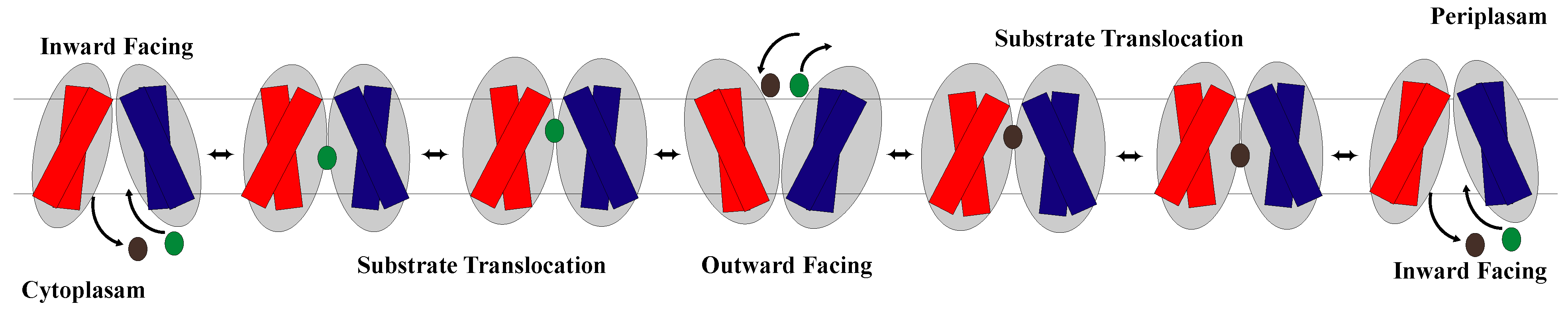Membranes 13 00462 g005