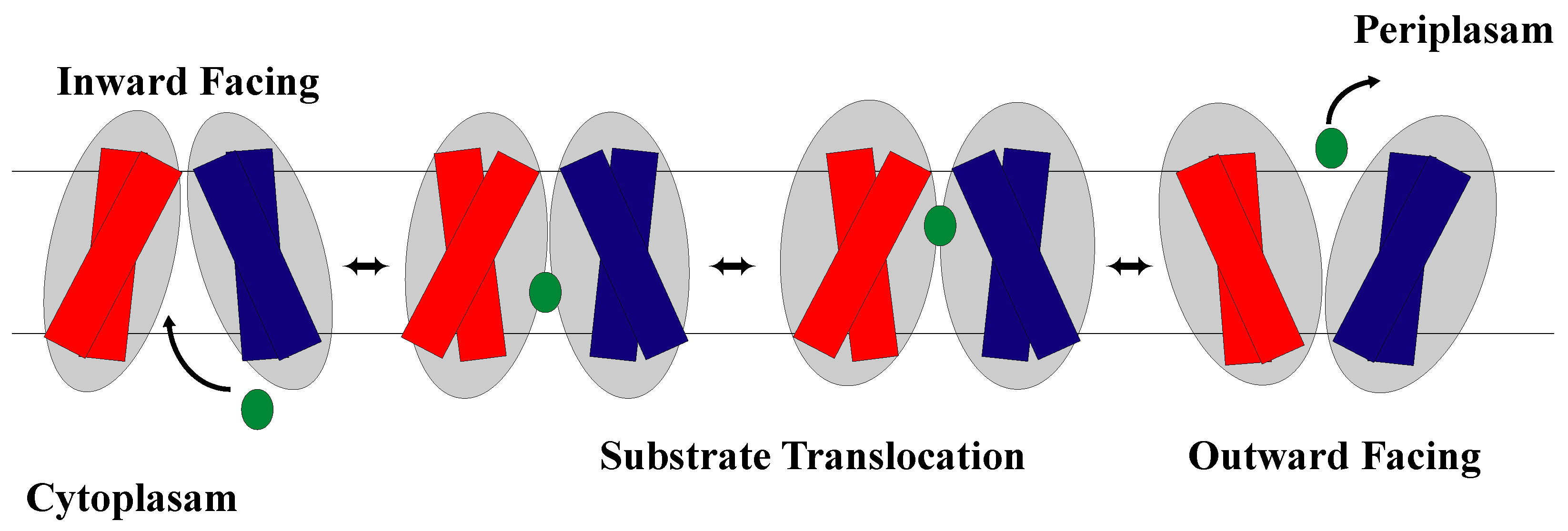 Membranes 13 00462 g009