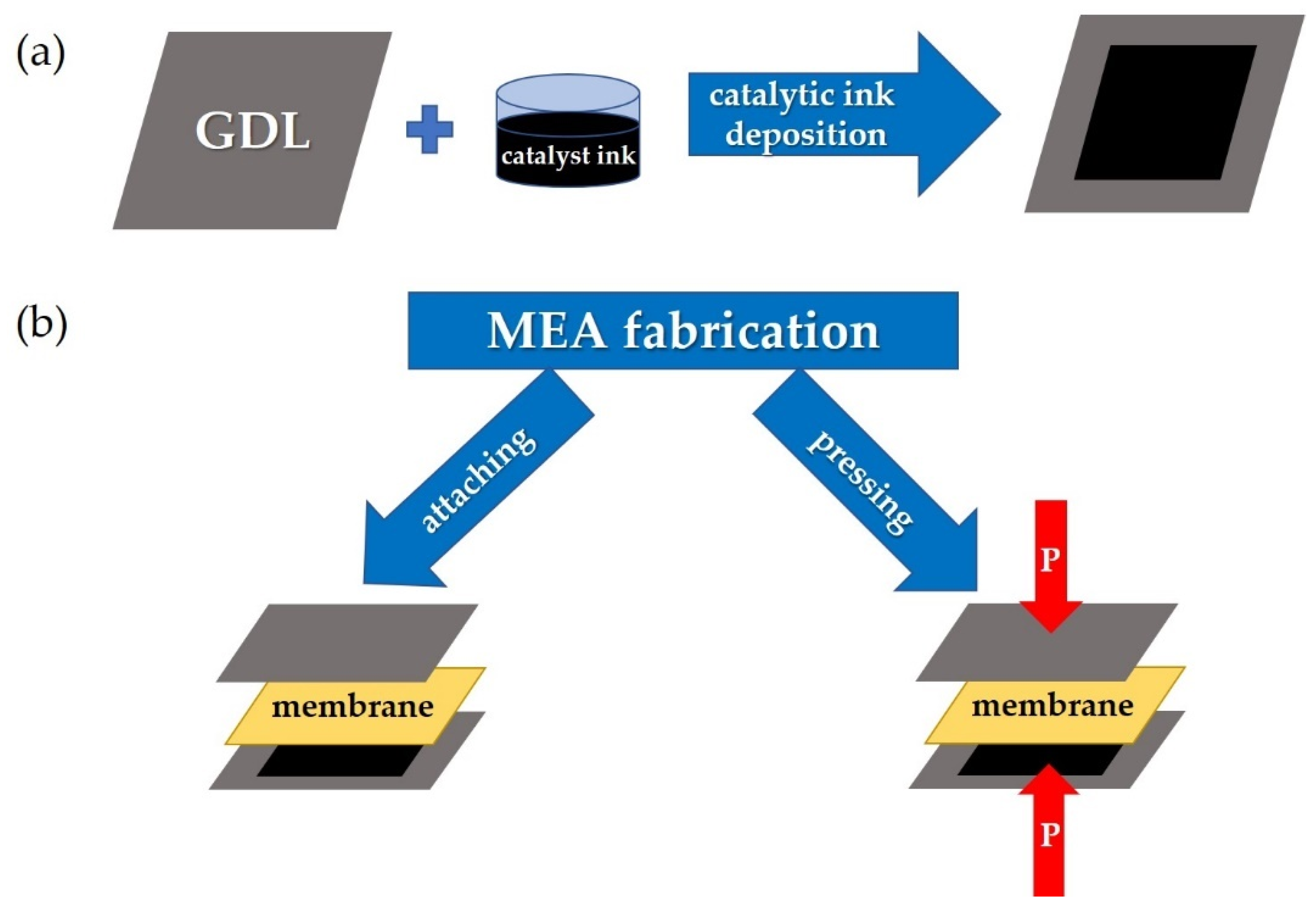 Membranes 13 00485 g002 Membranes 13 00485 g002