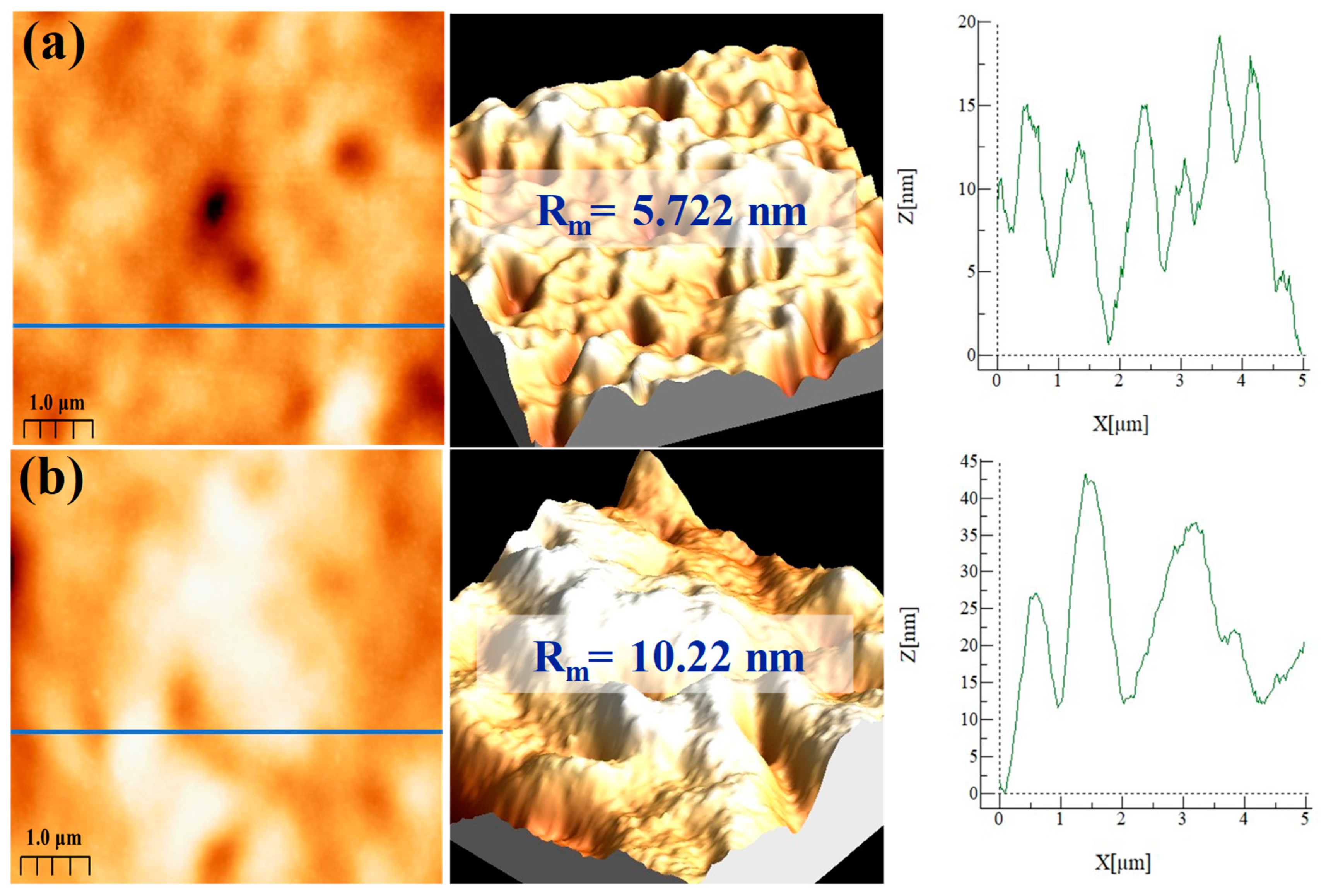 Membranes 13 00487 g004