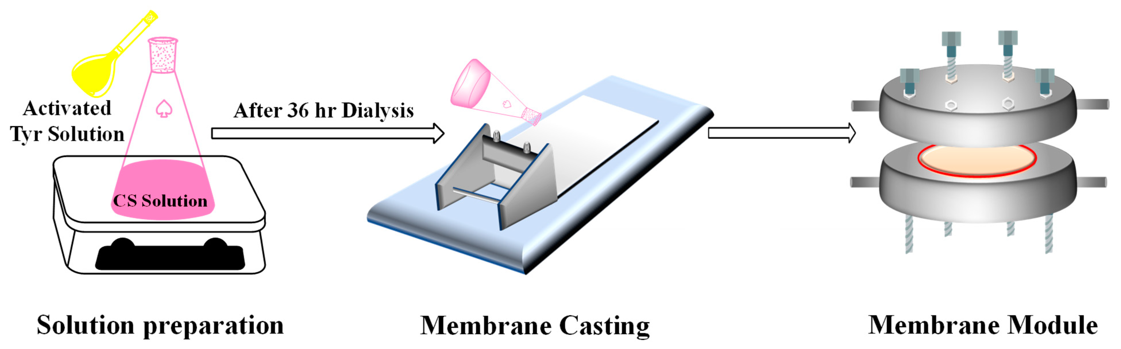 Membranes 13 00487 sch002