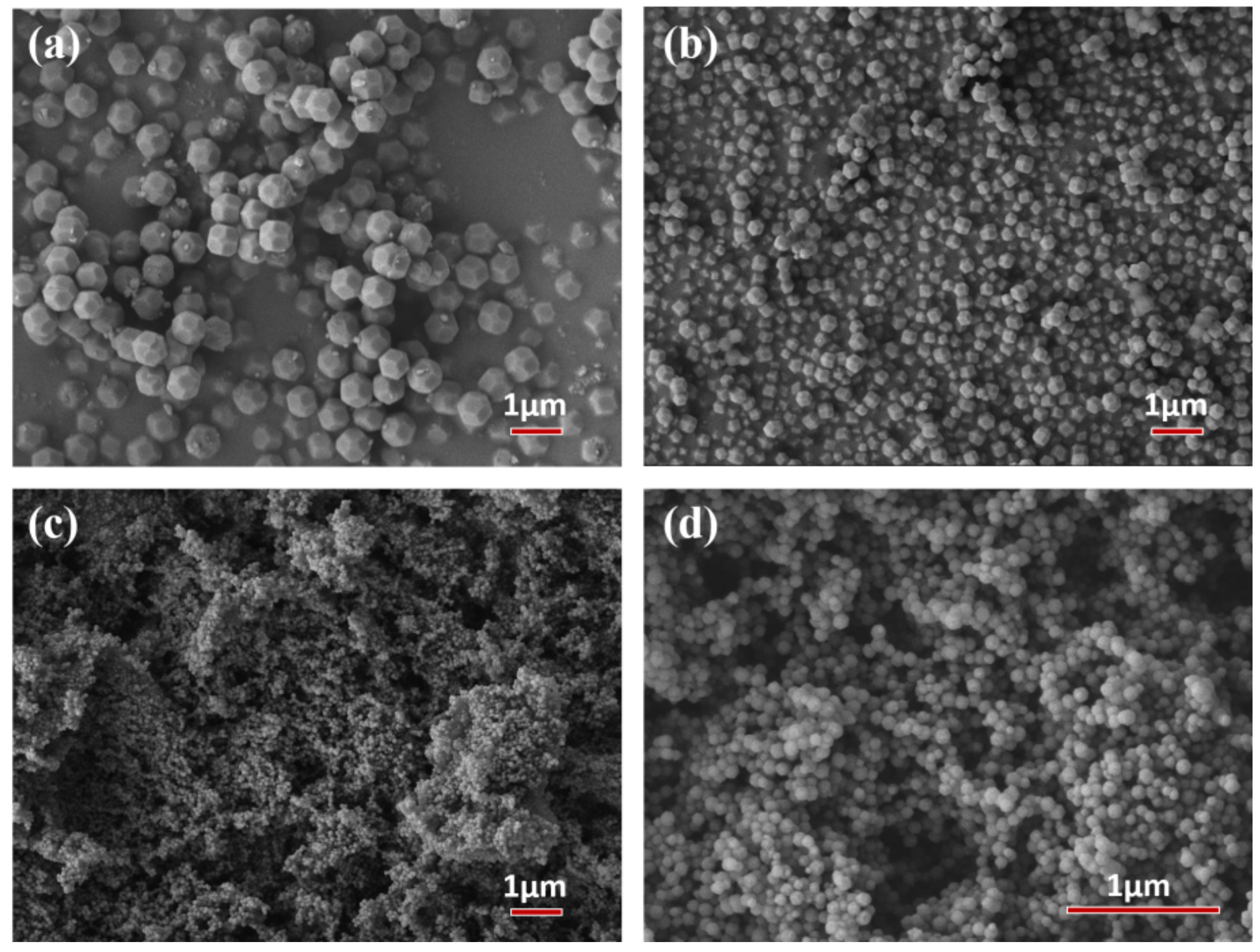 Membranes 13 00515 g001