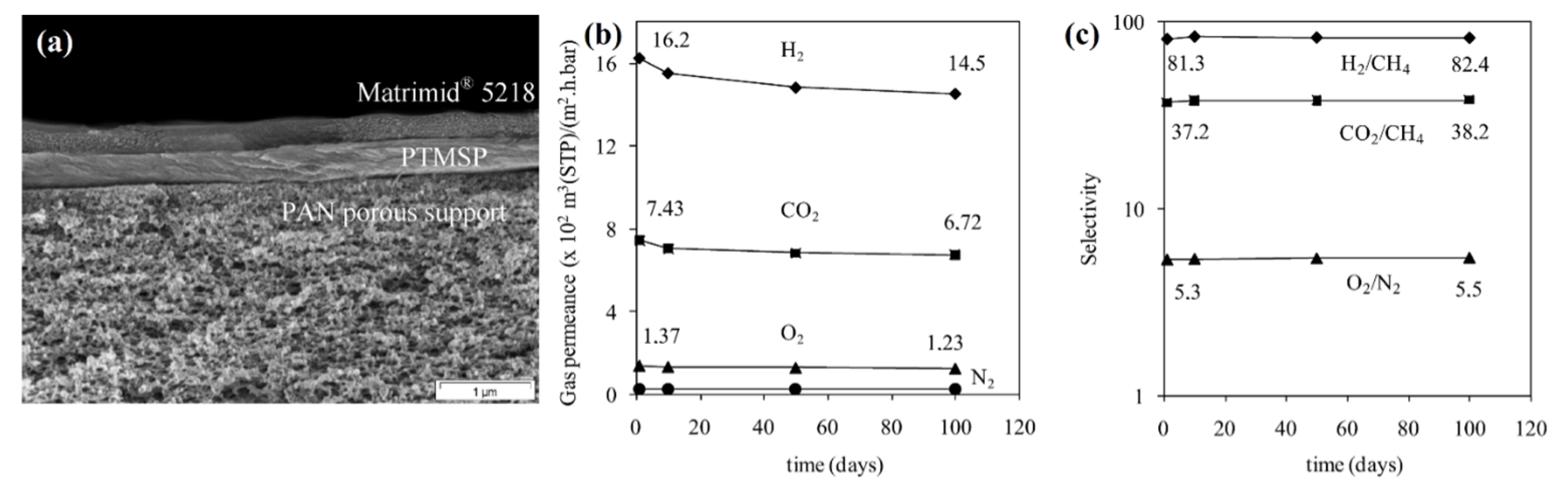 Membranes 13 00519 g006