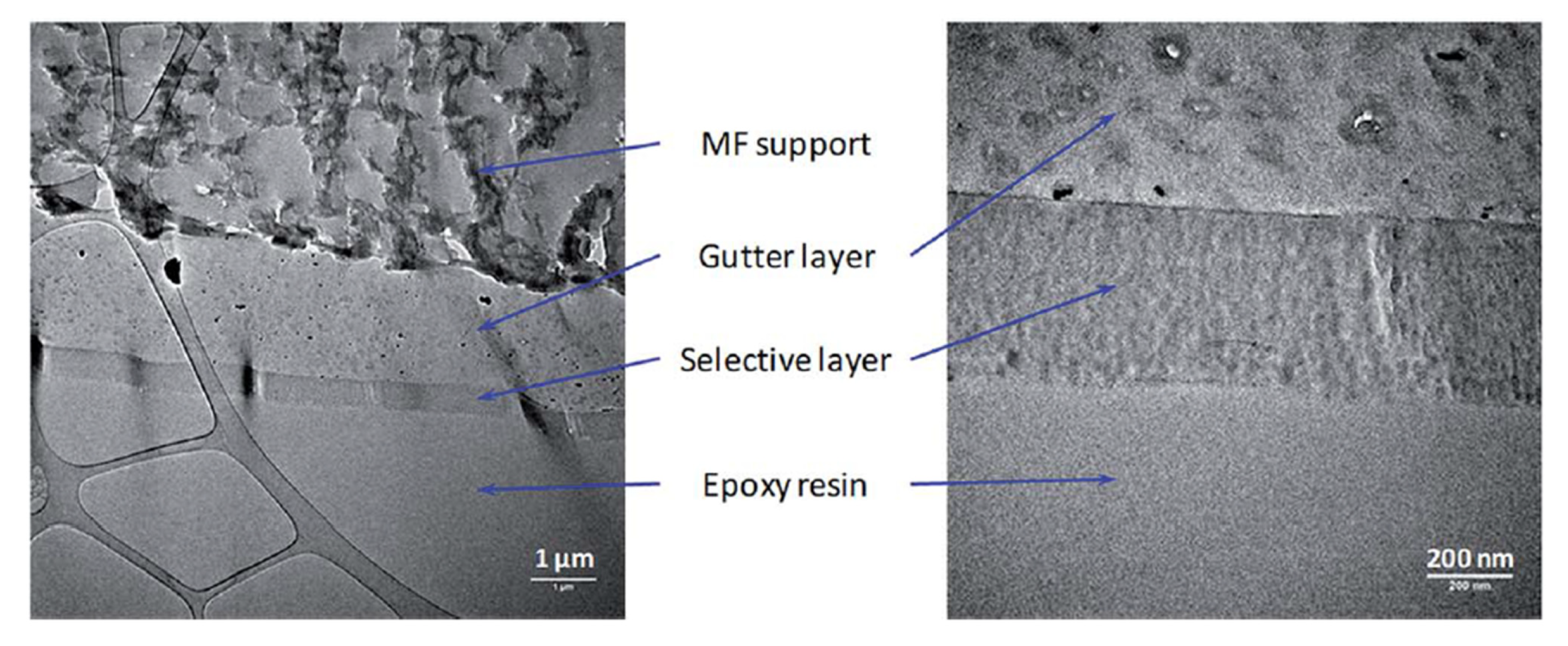 Membranes 13 00519 g007
