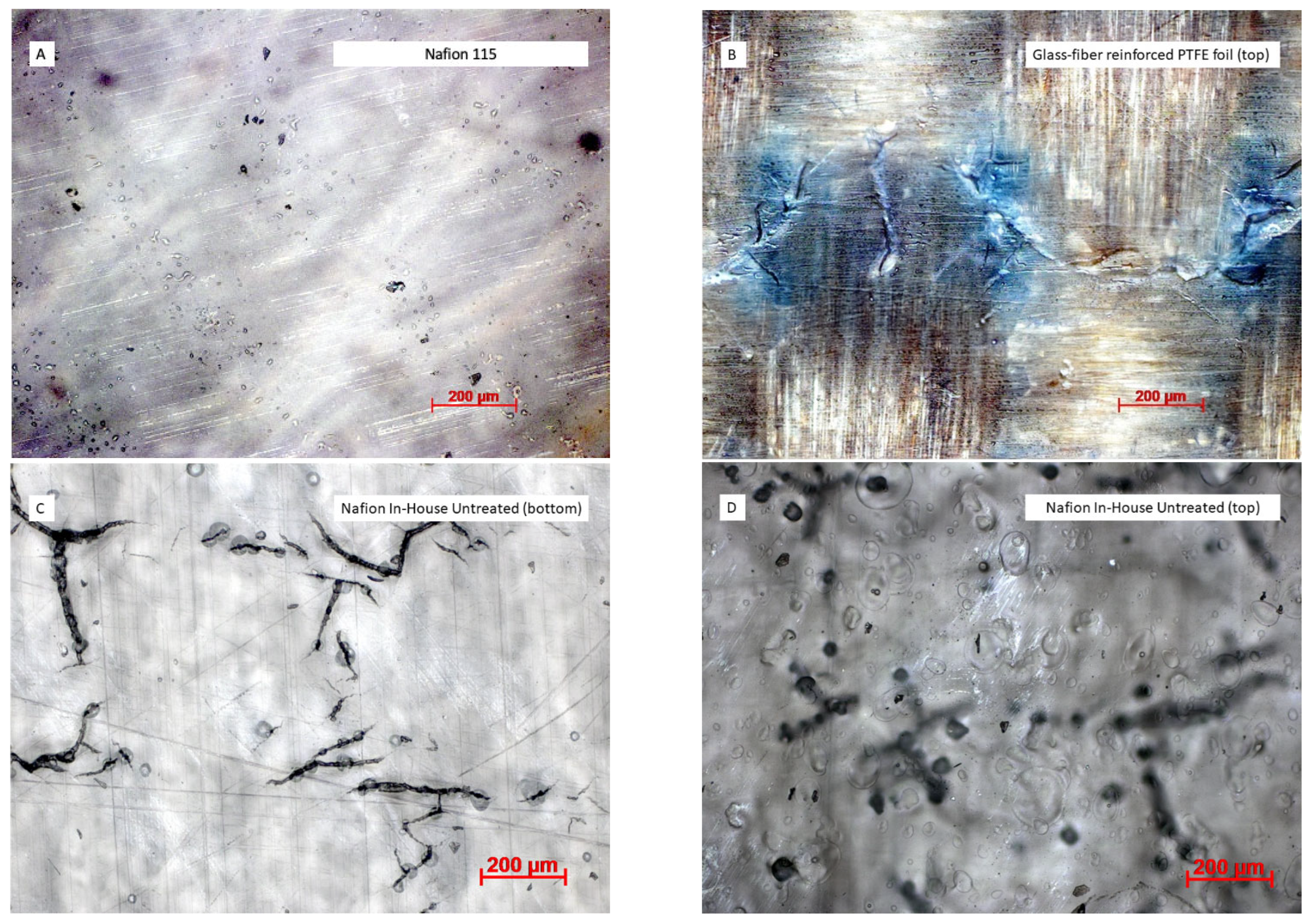 Membranes 13 00522 g002 Membranes 13 00522 g002