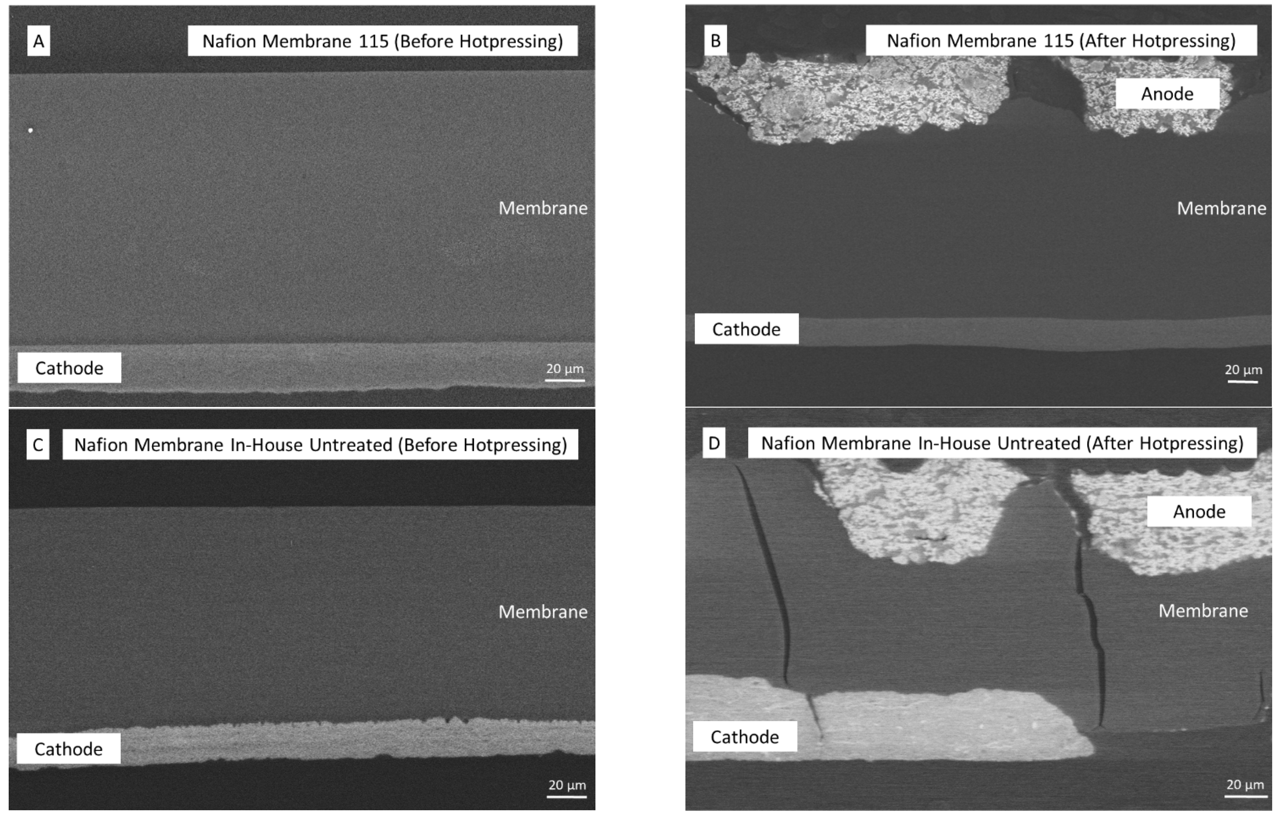 Membranes 13 00522 g003 Membranes 13 00522 g003
