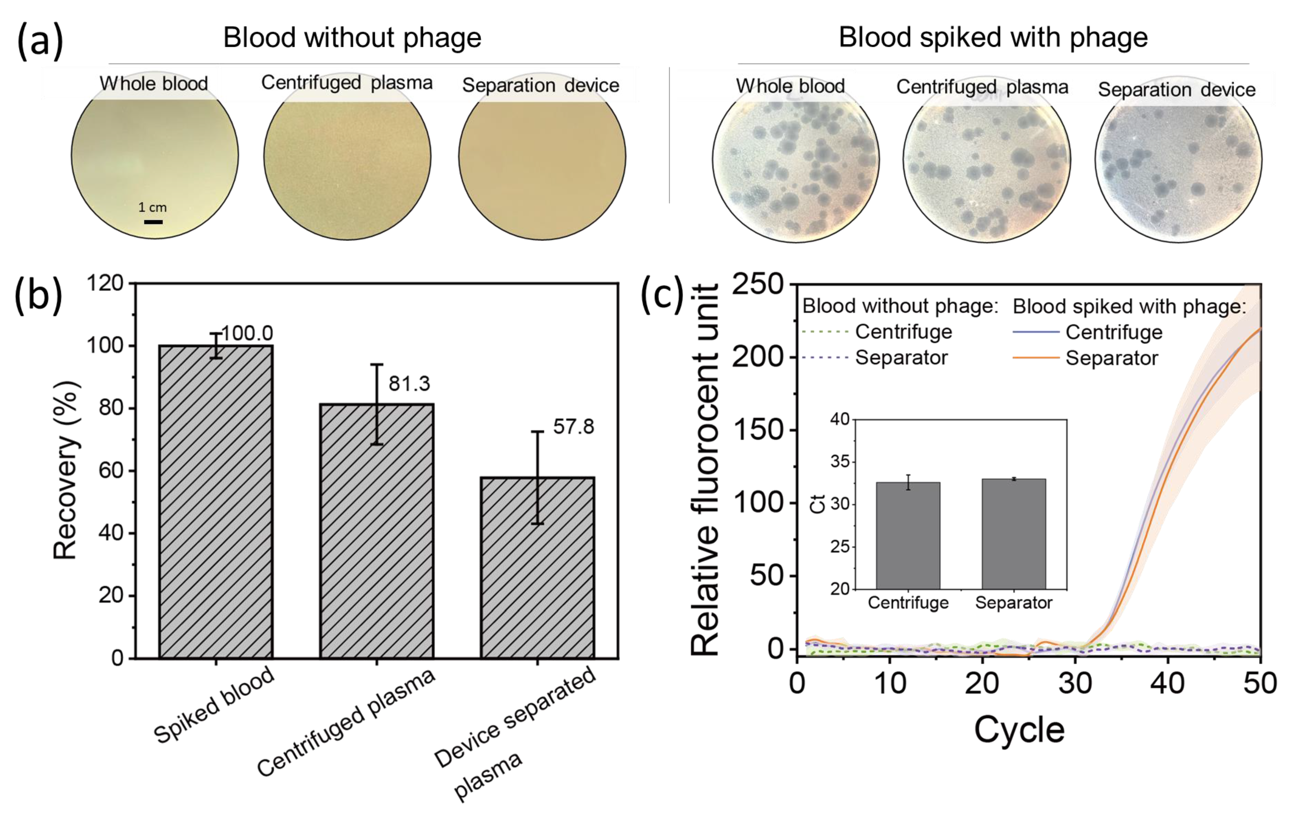 Membranes 13 00524 g004