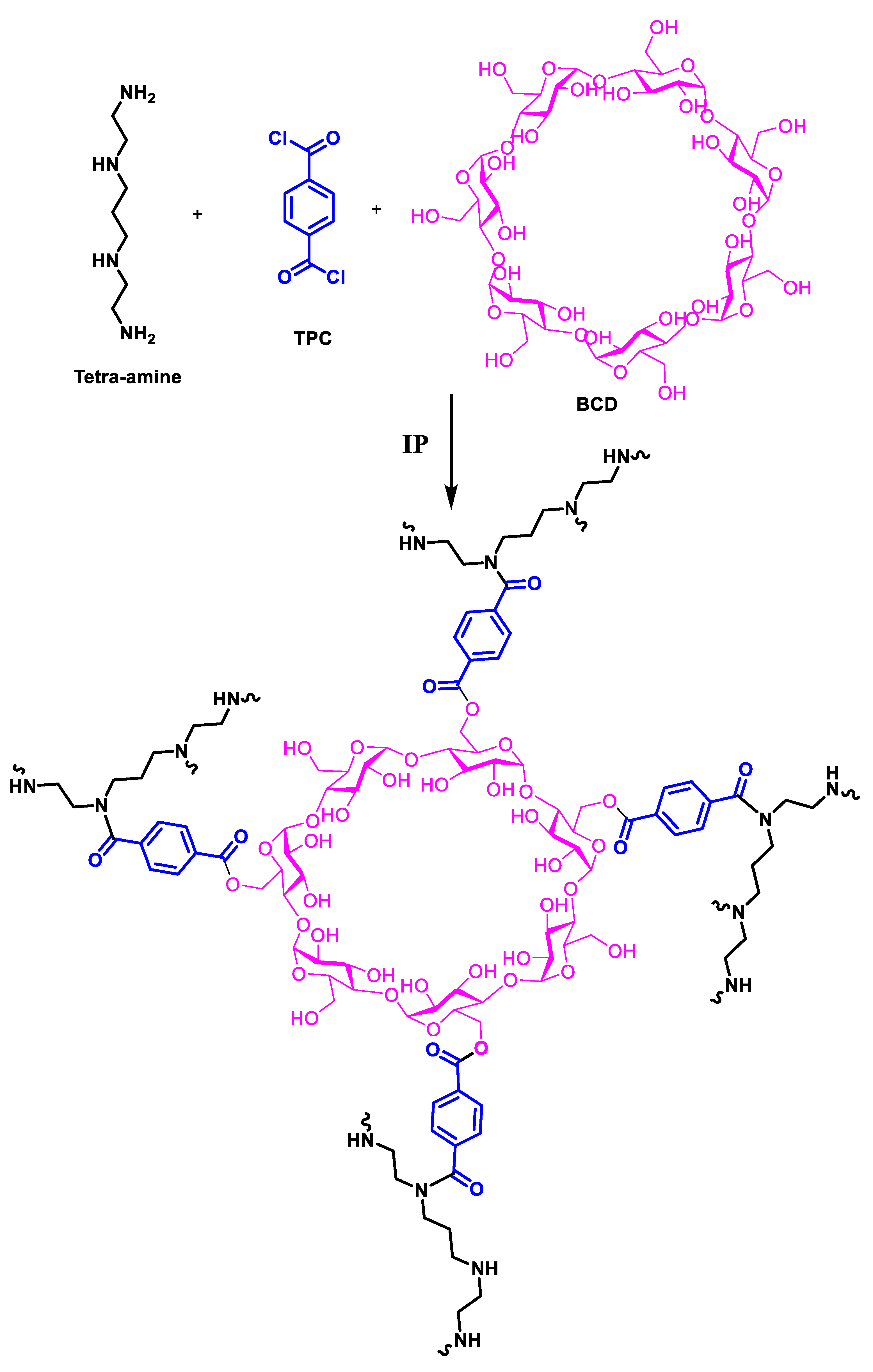Membranes 13 00528 g002 Membranes 13 00528 g002