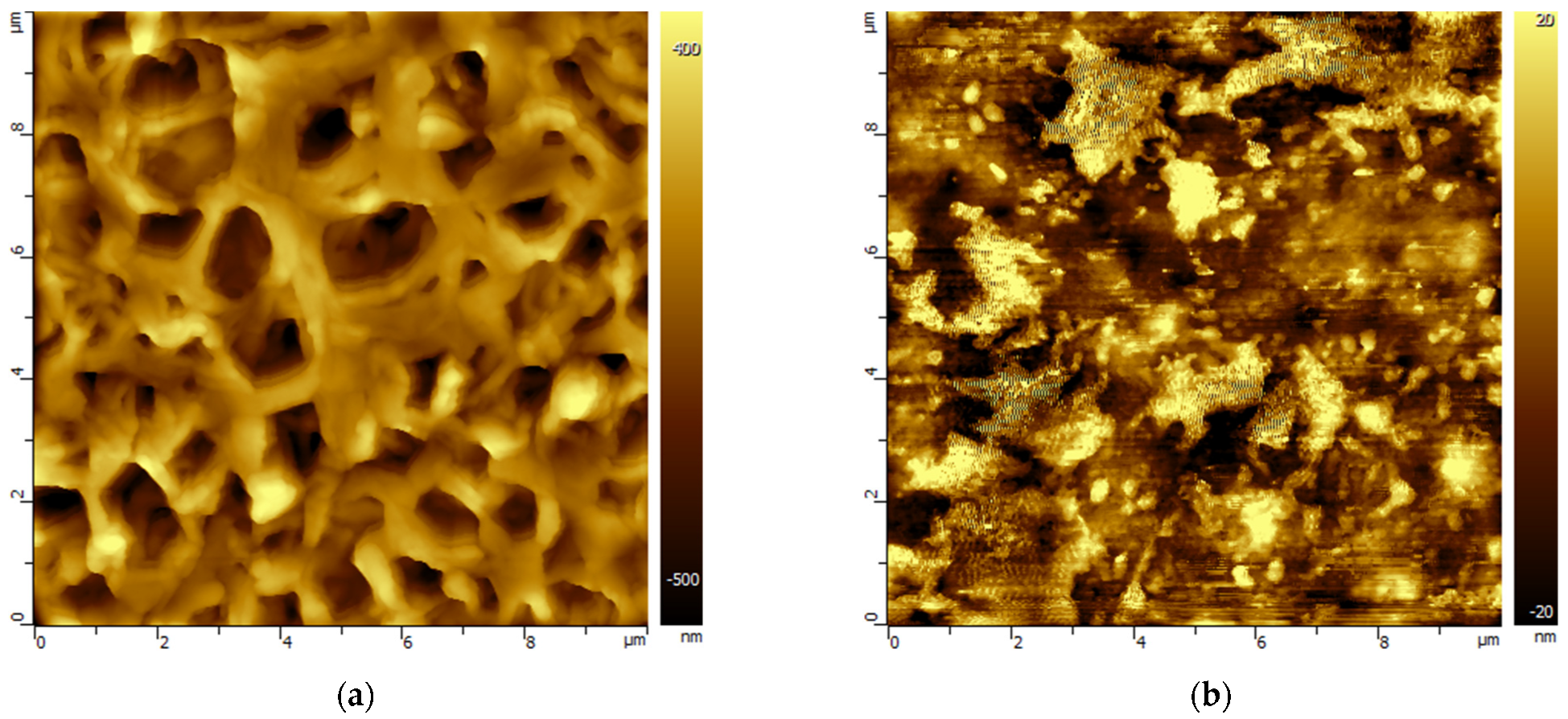 Membranes 13 00544 g002