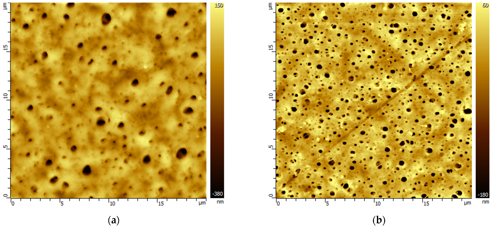Membranes 13 00544 g003