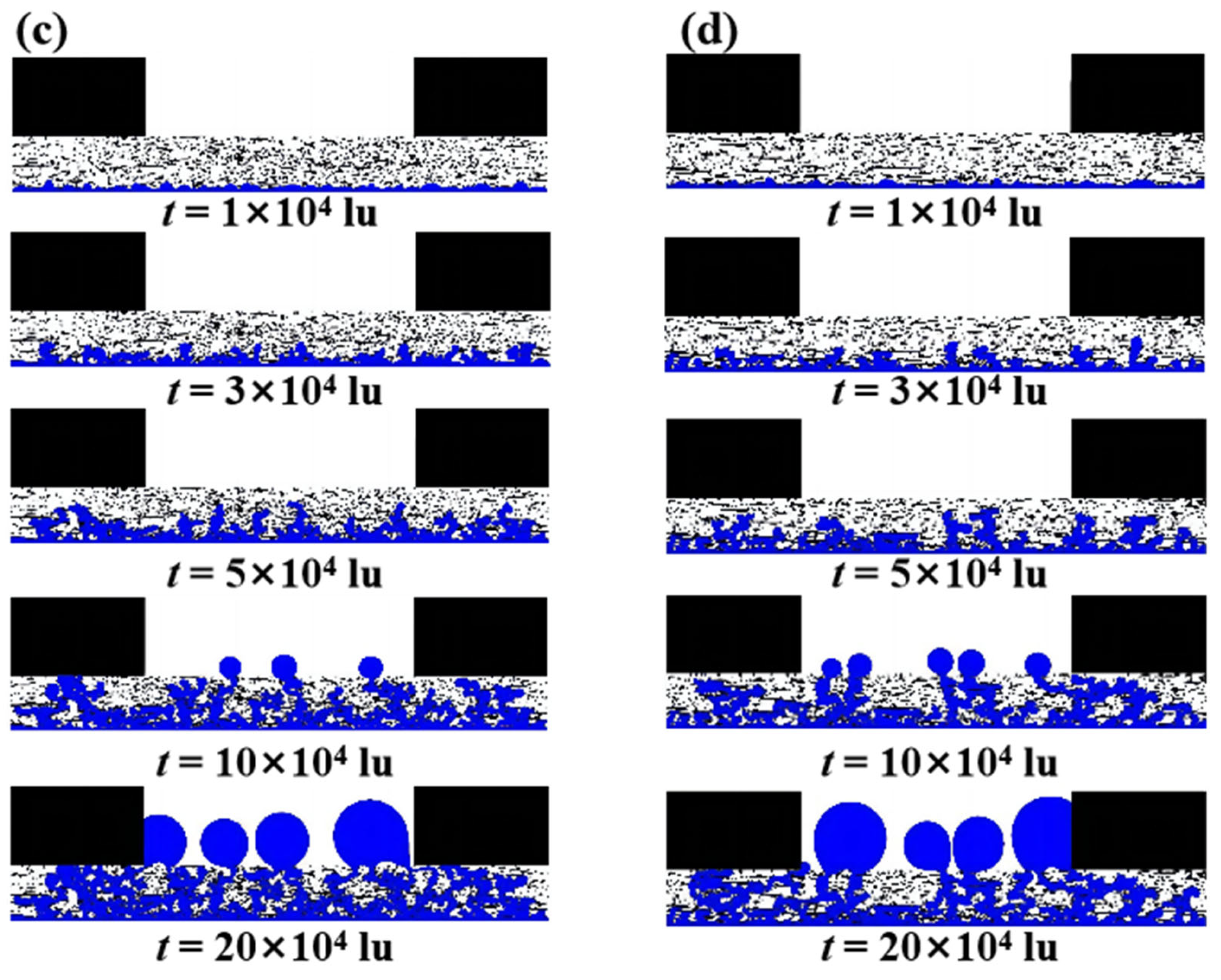 Membranes 13 00559 g003b Membranes 13 00559 g003b