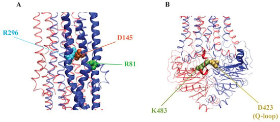 Membranes | Free Full-Text | The Alternating Access Mechanism in