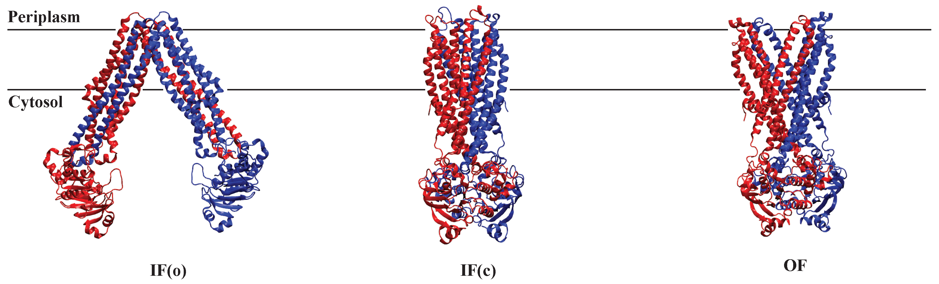 Membranes 13 00568 g008
