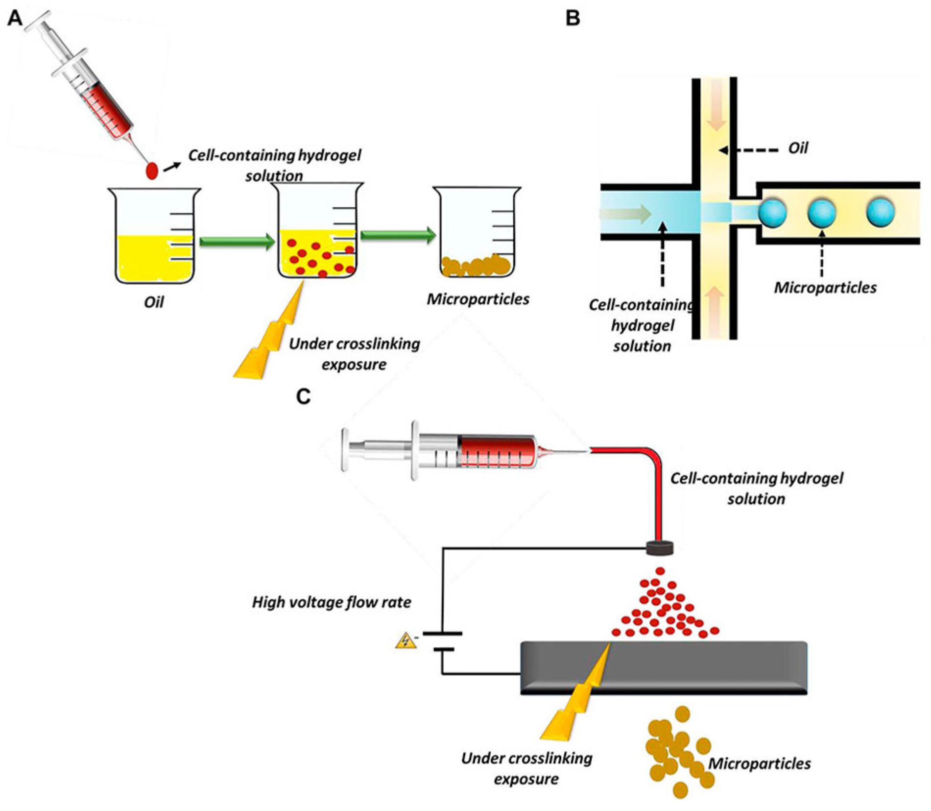 Membranes | Free Full-Text | Polymeric Based Hydrogel Membranes For ...