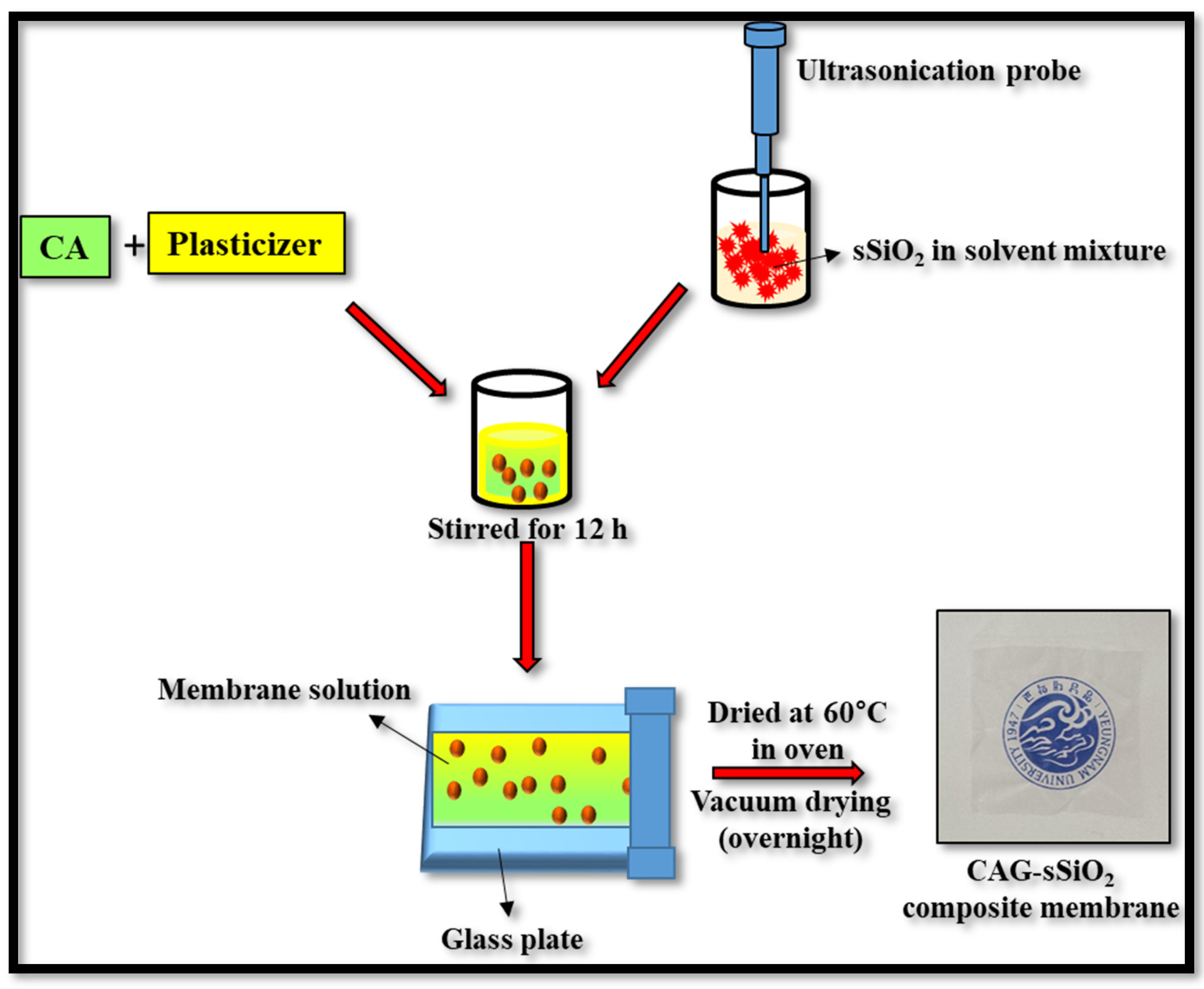 Polyelectrolyte membranes based on phosphorylated-PVA/cellulose acetate for  direct methanol fuel cell applications: synthesis, instrumental  characterization, and performance testing