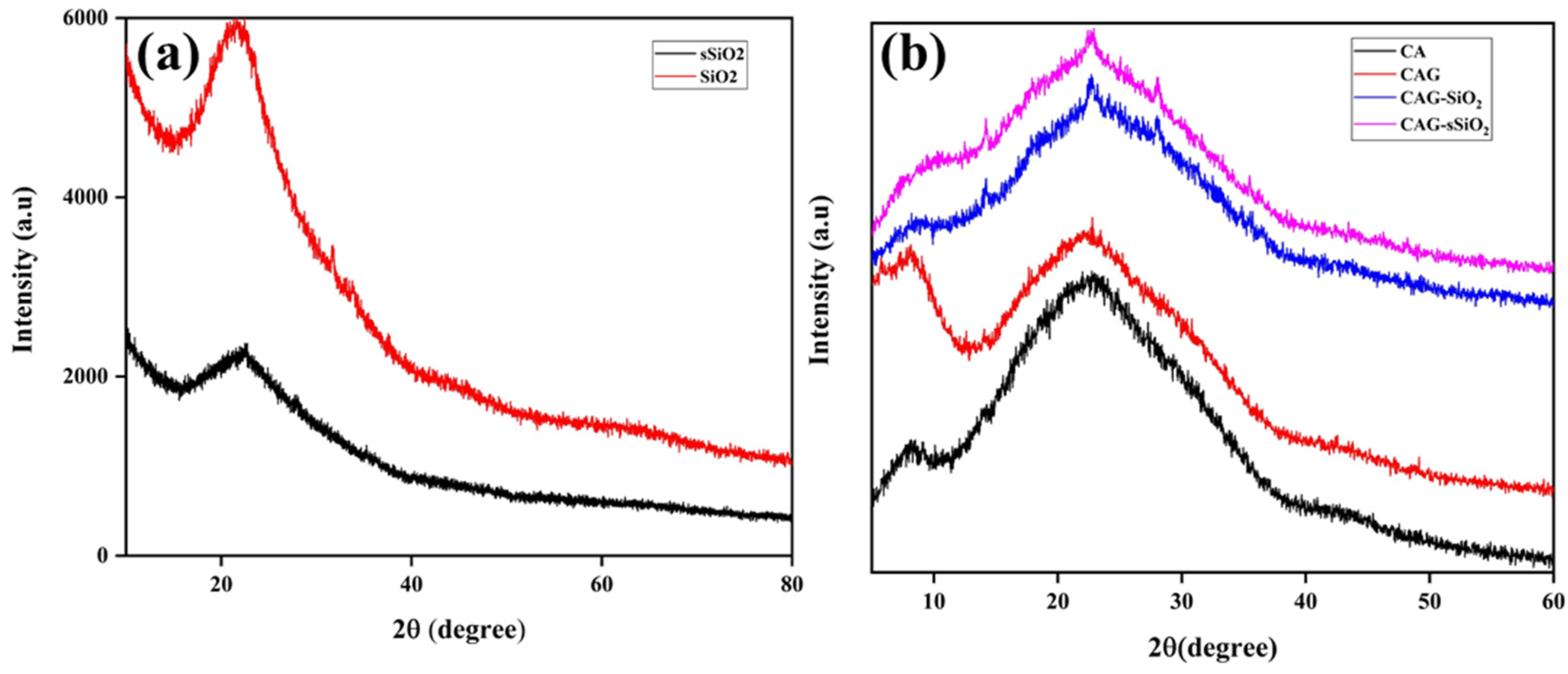 Membranes 13 00581 g004 Membranes 13 00581 g004