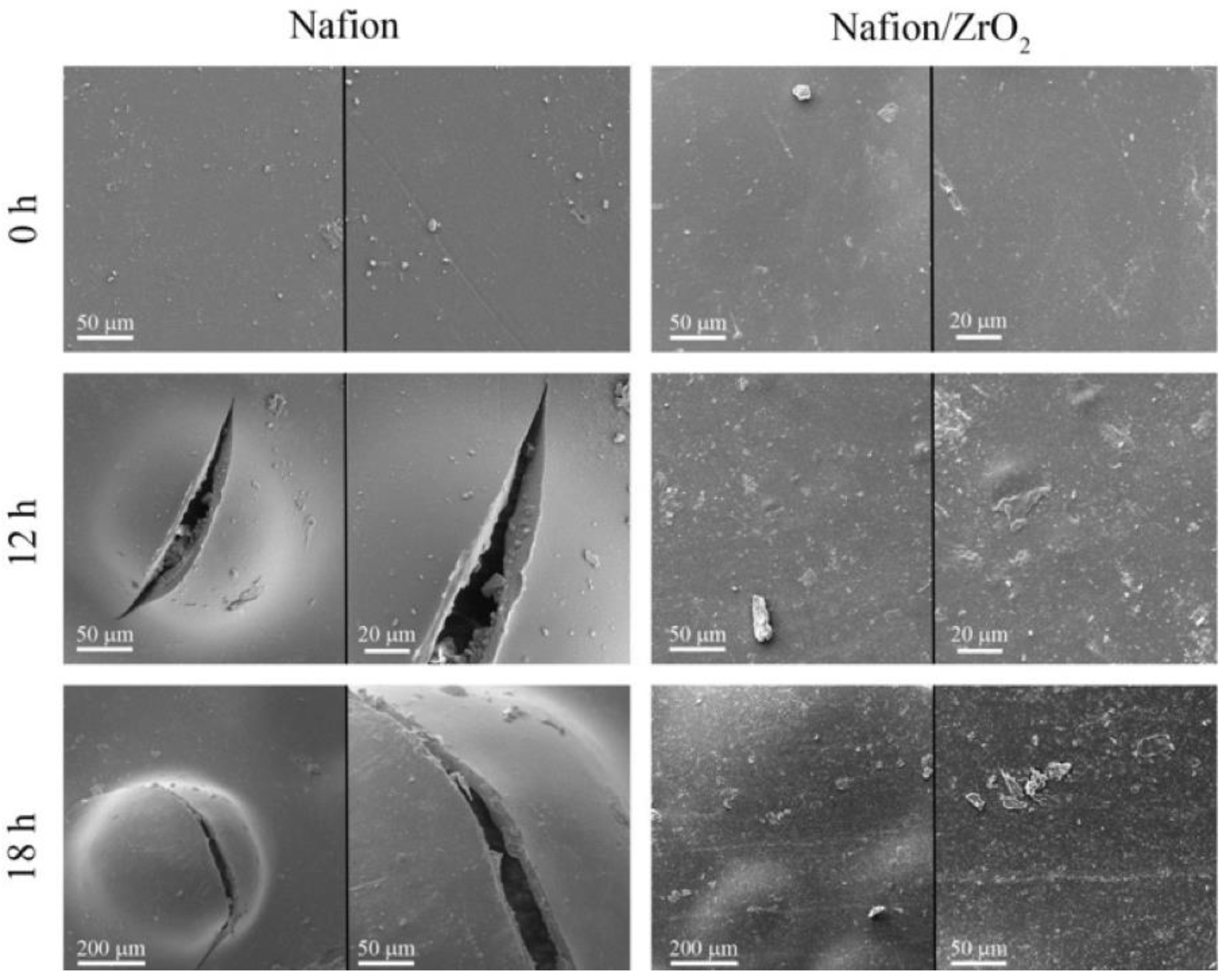 Membranes 13 00590 g004 Membranes 13 00590 g004