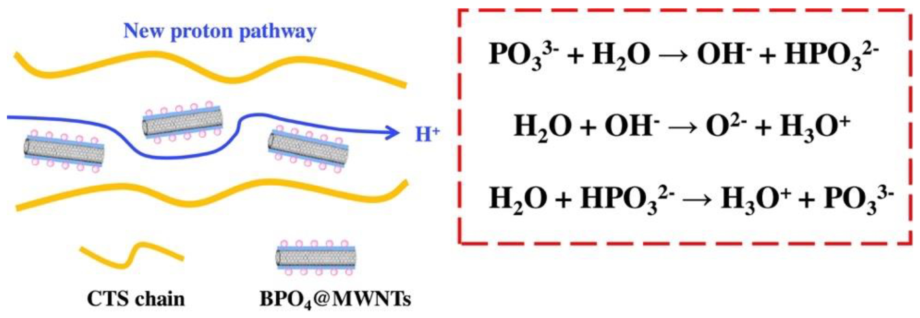 Membranes 13 00590 g005 Membranes 13 00590 g005