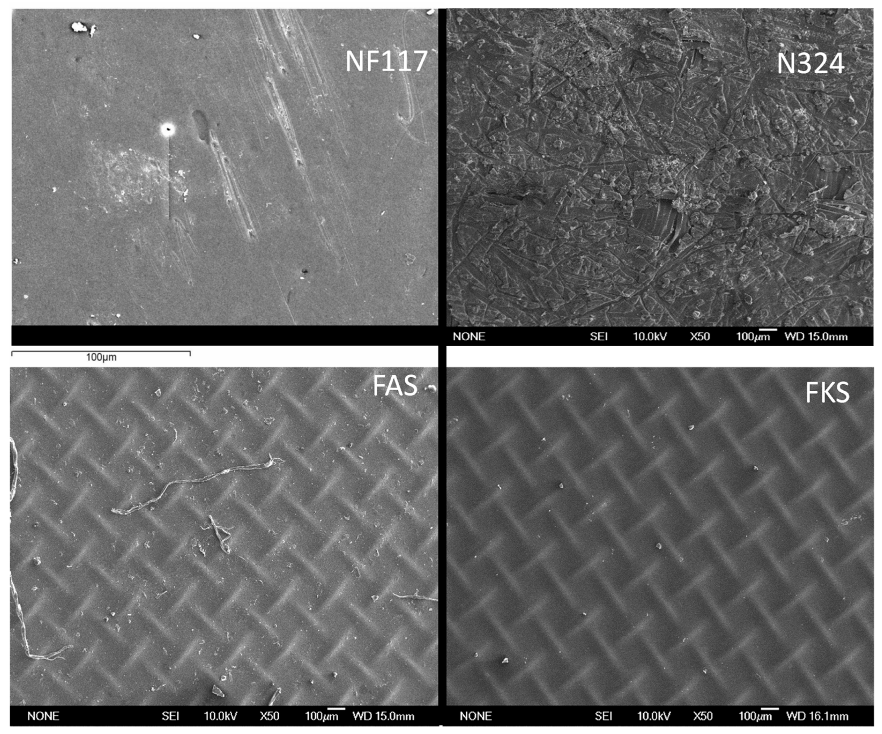 Membranes 13 00592 g002
