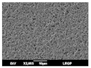 Membranes 13 00599 i004 Membranes 13 00599 i004