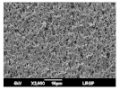 Membranes 13 00599 i008 Membranes 13 00599 i008