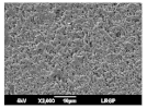 Membranes 13 00599 i011 Membranes 13 00599 i011