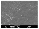 Membranes 13 00599 i016 Membranes 13 00599 i016