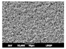 Membranes 13 00599 i017 Membranes 13 00599 i017
