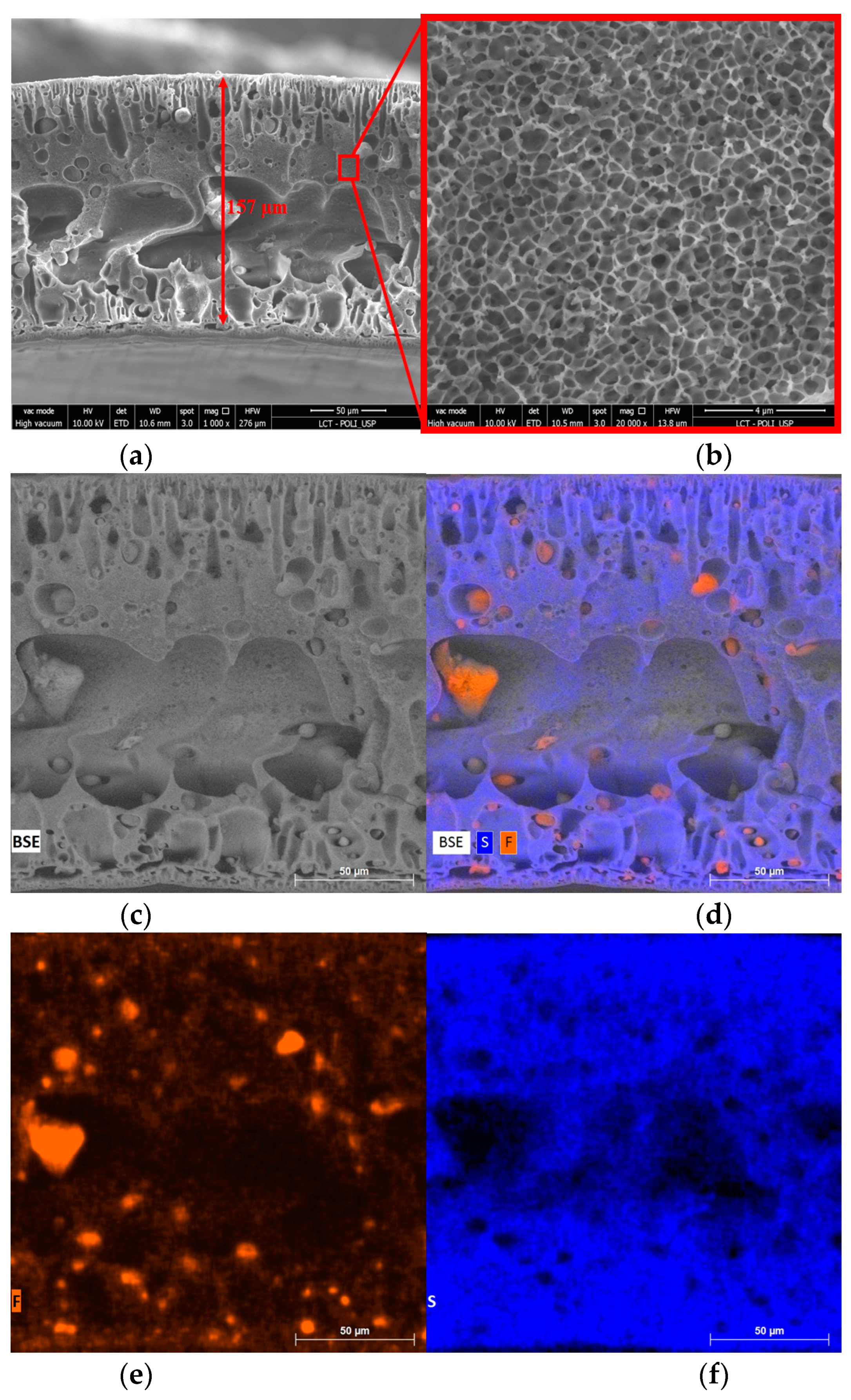 Membranes 13 00613 g006 Membranes 13 00613 g006