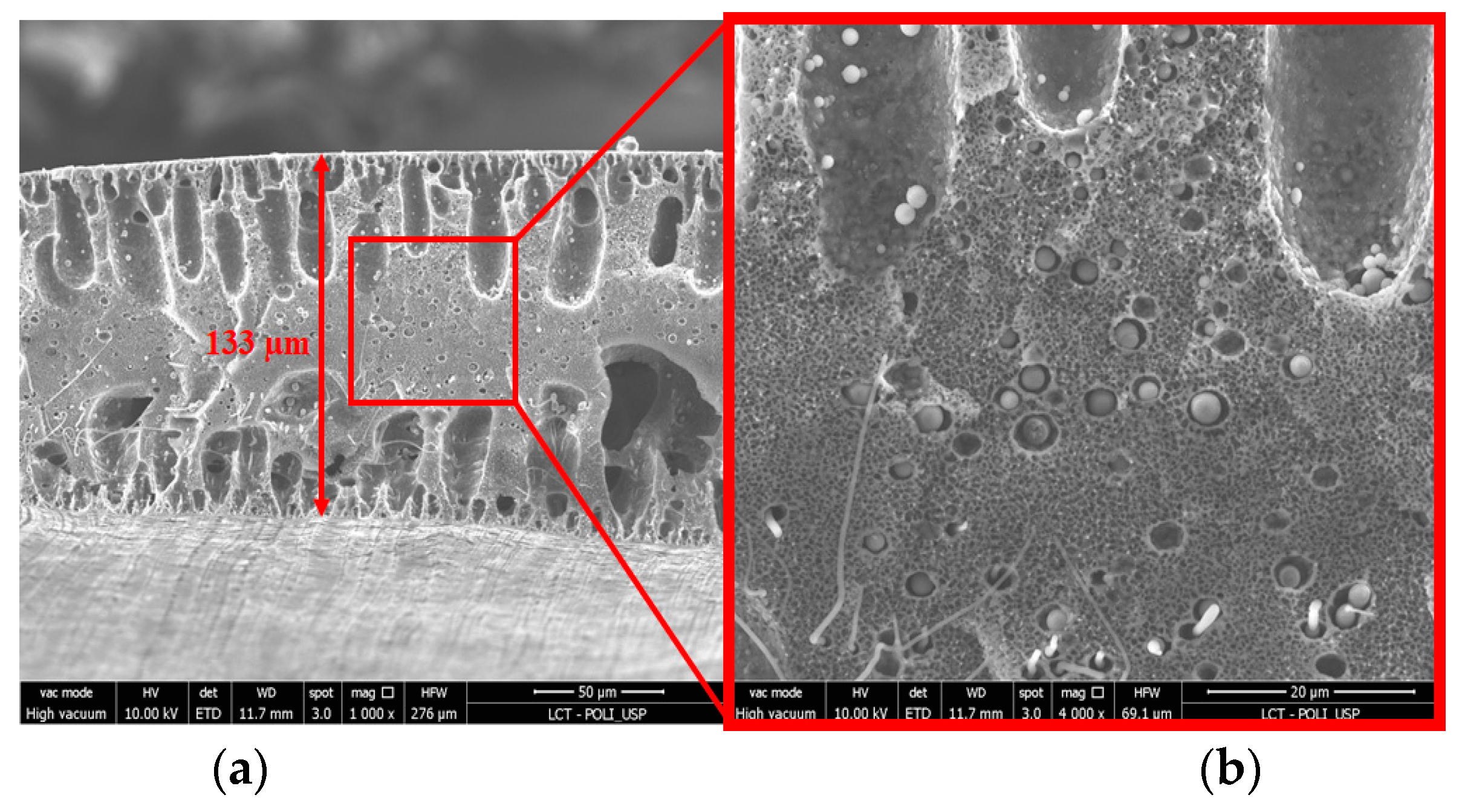 Membranes 13 00613 g007a Membranes 13 00613 g007a