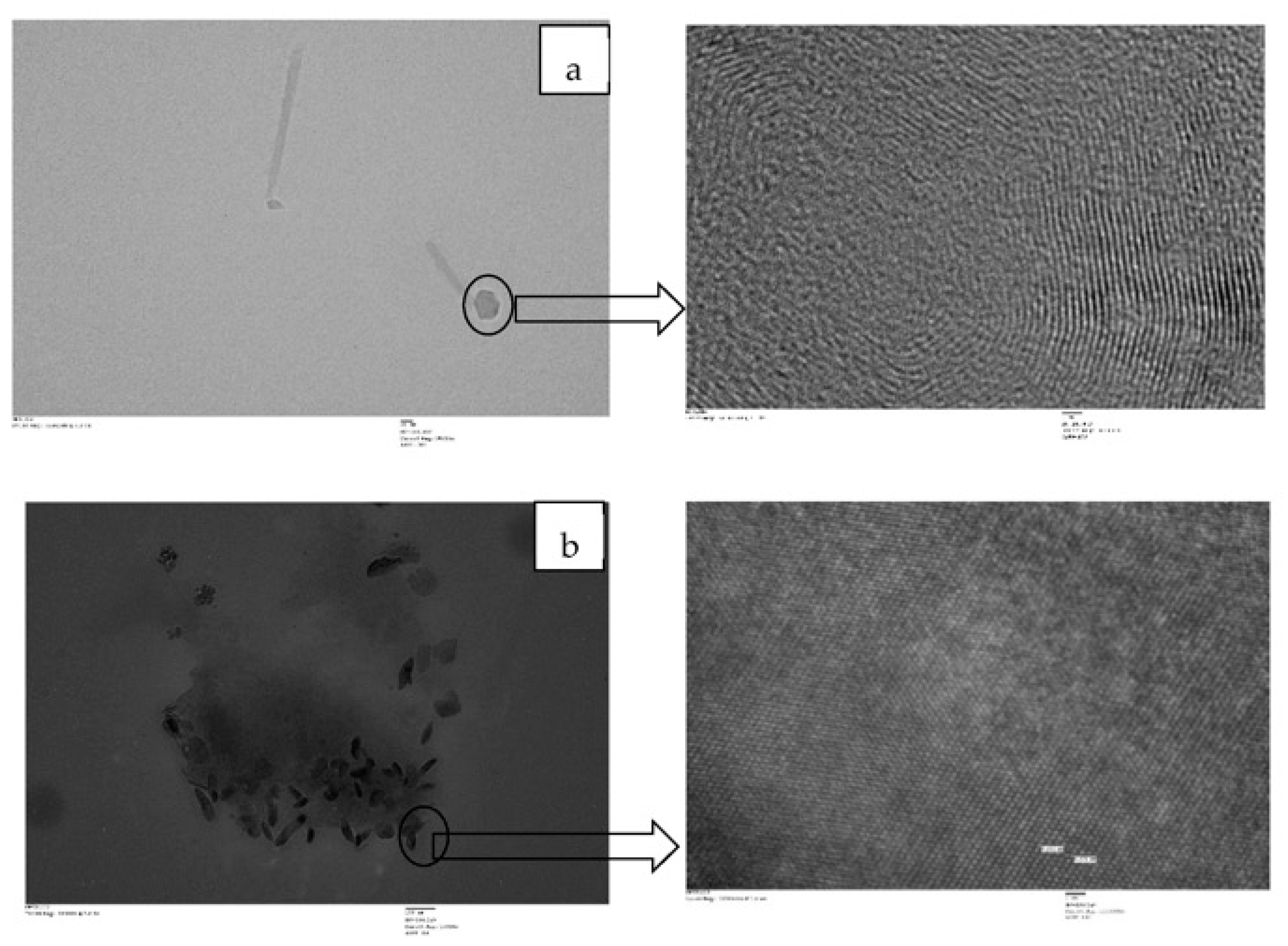 Membranes 13 00619 g013 Membranes 13 00619 g013