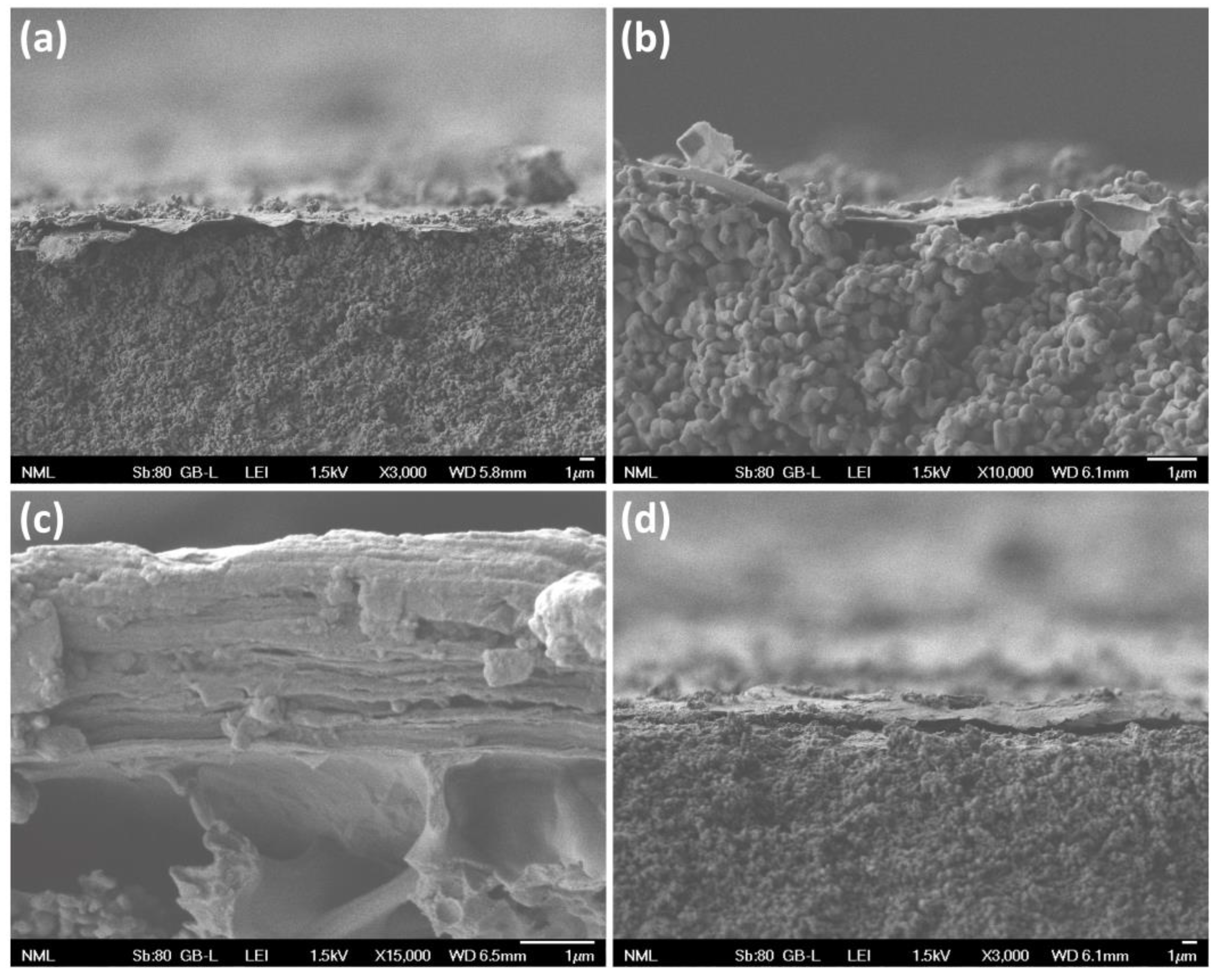 Membranes 13 00627 g002 Membranes 13 00627 g002