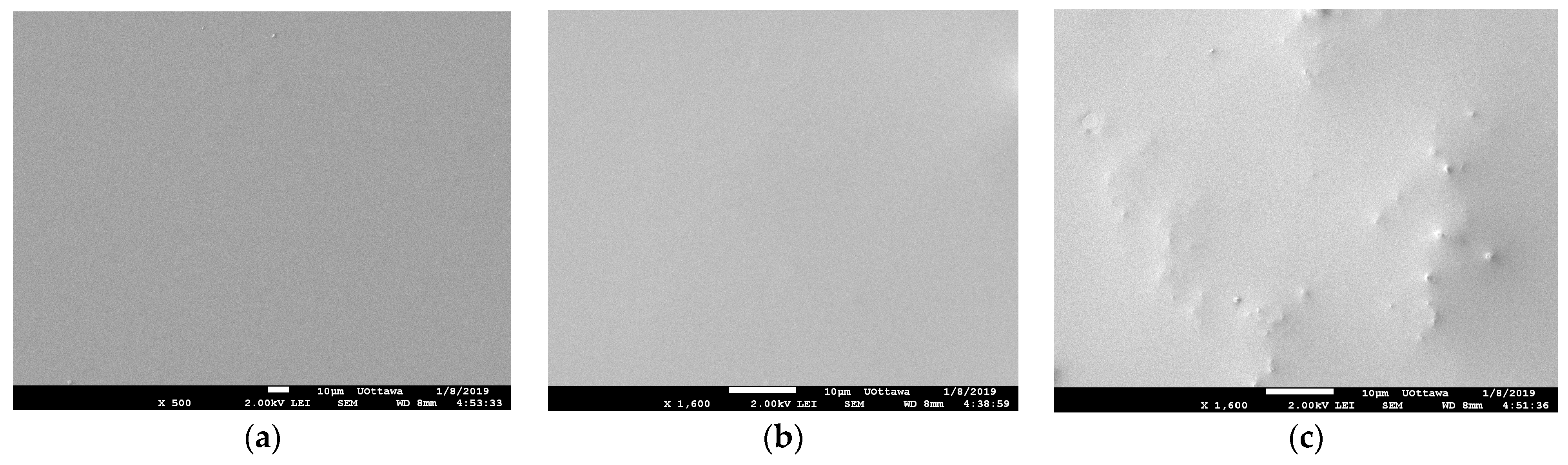 Membranes 13 00632 g004