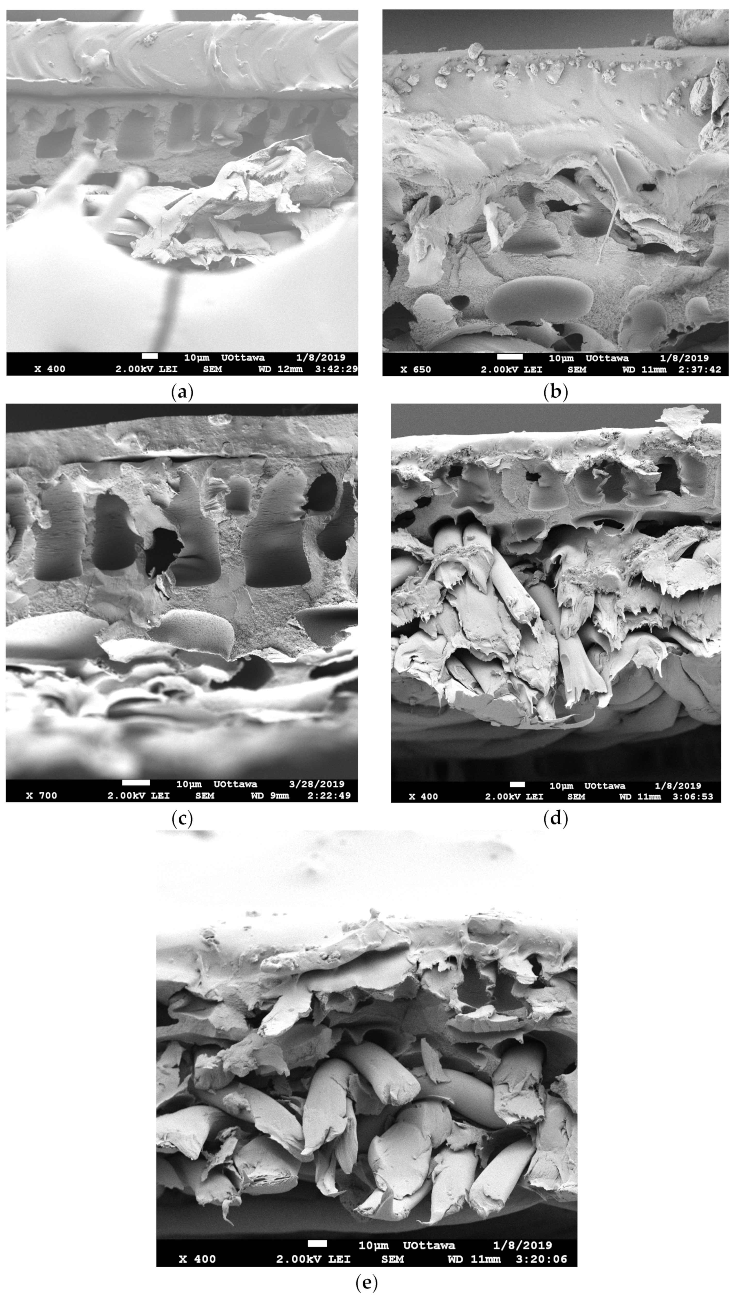 Membranes 13 00632 g005