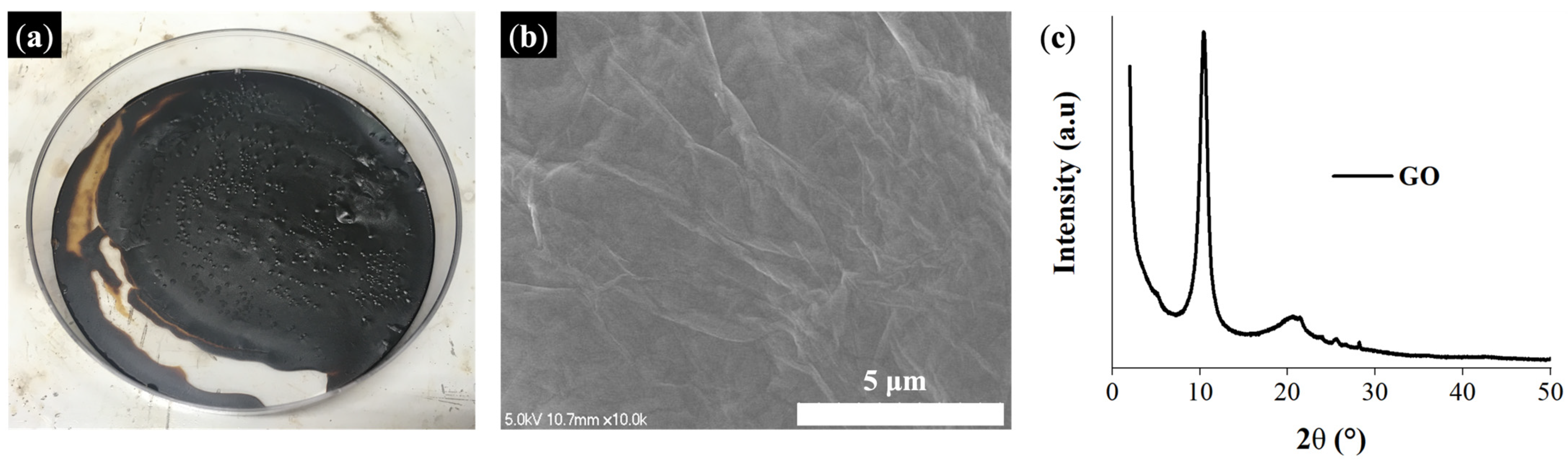 Membranes 13 00633 g003