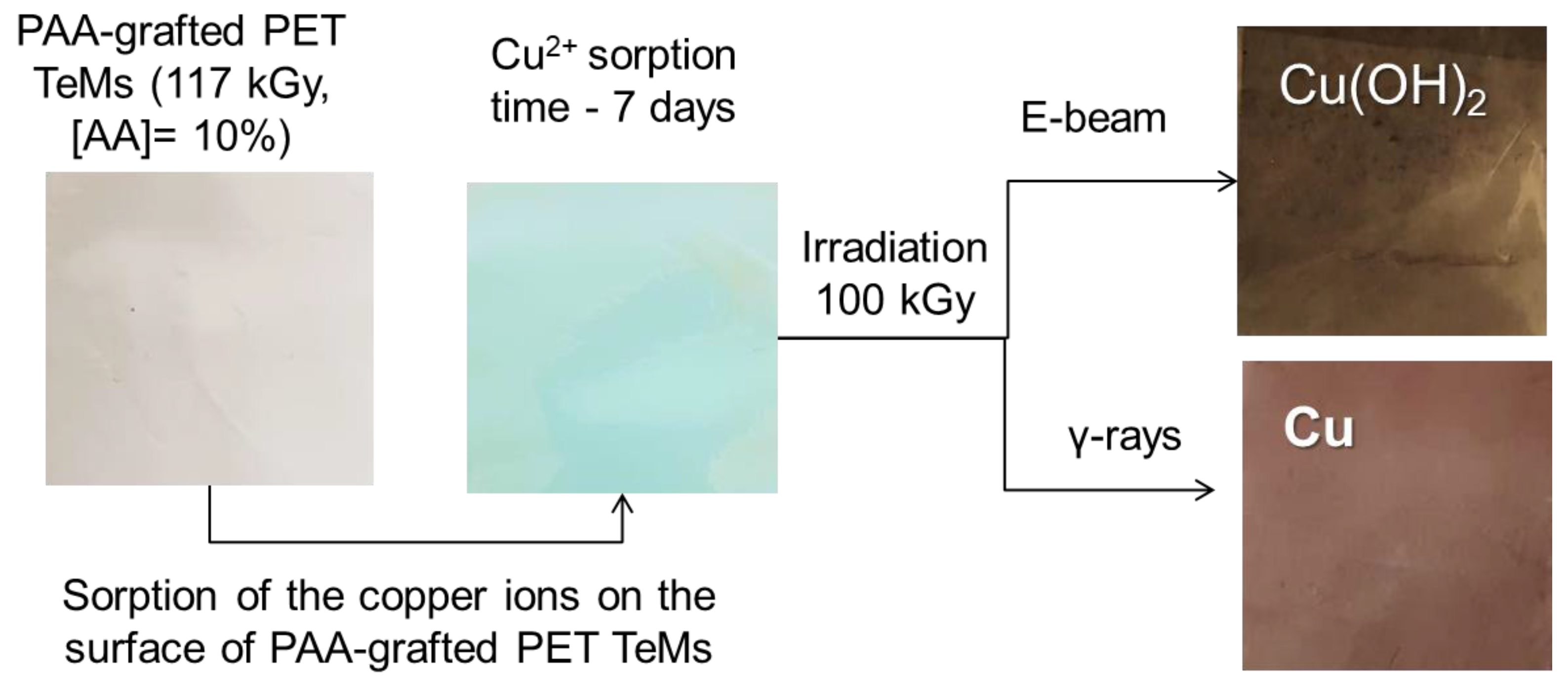 Membranes 13 00659 g005