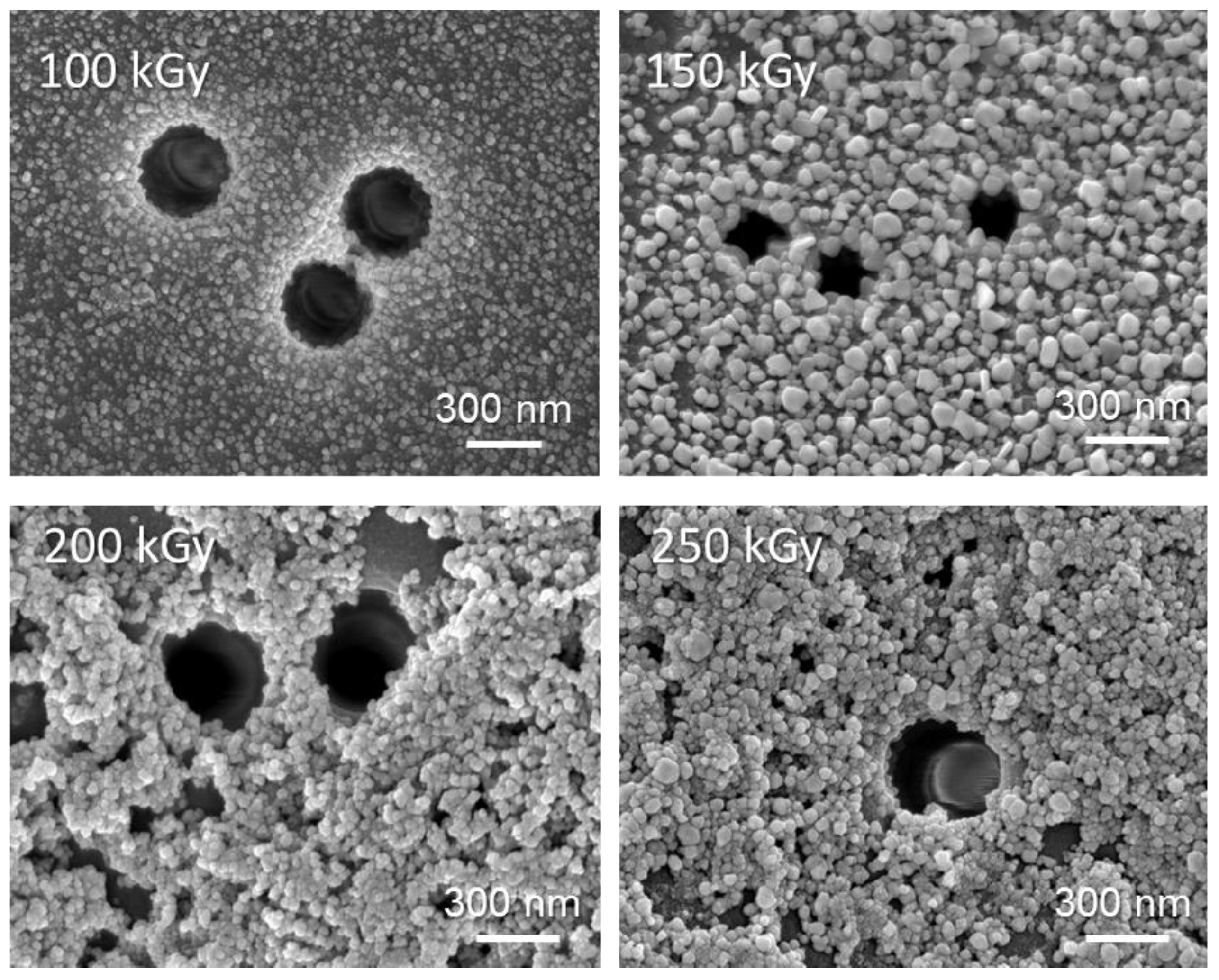 Membranes 13 00659 g006
