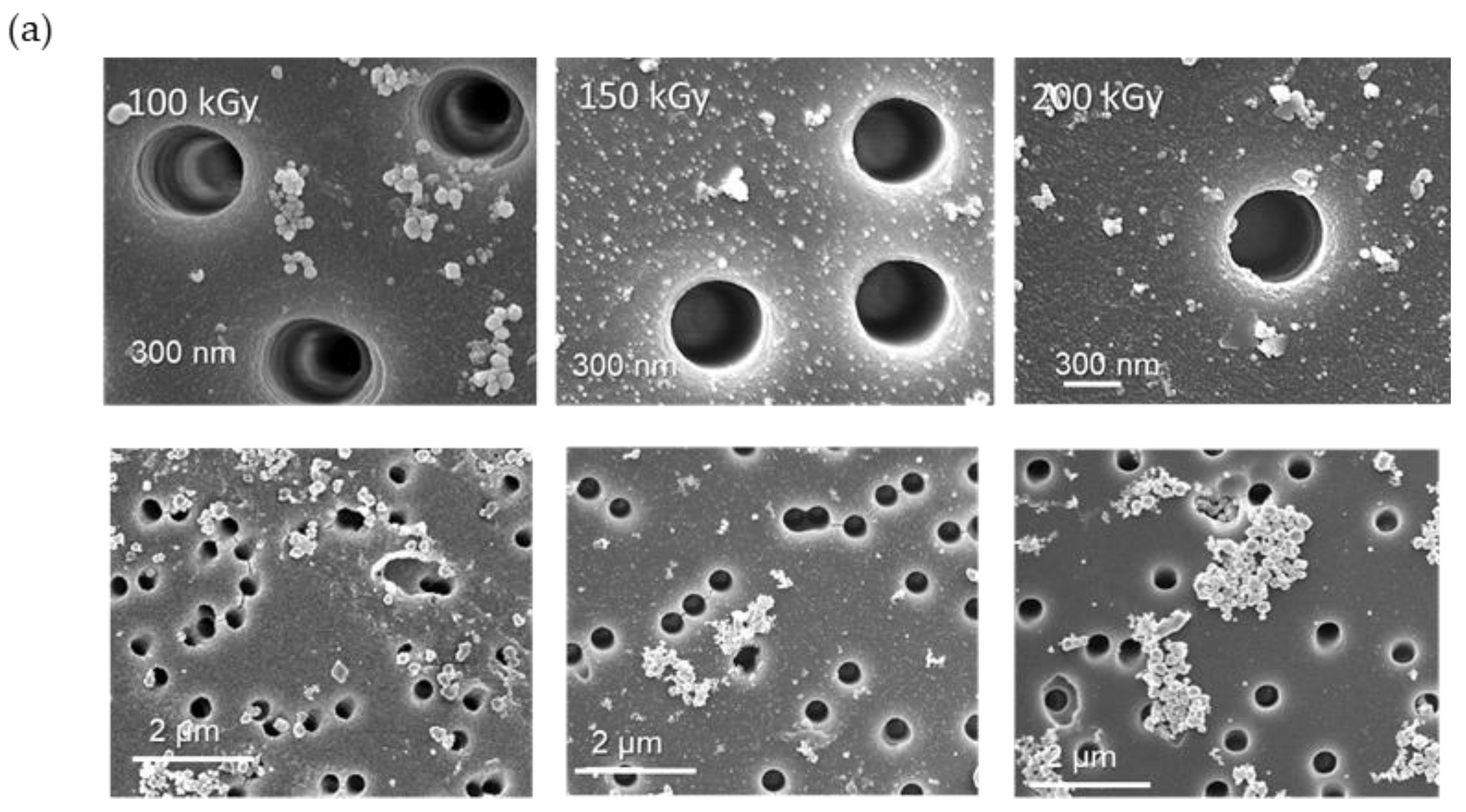 Membranes 13 00659 g007a