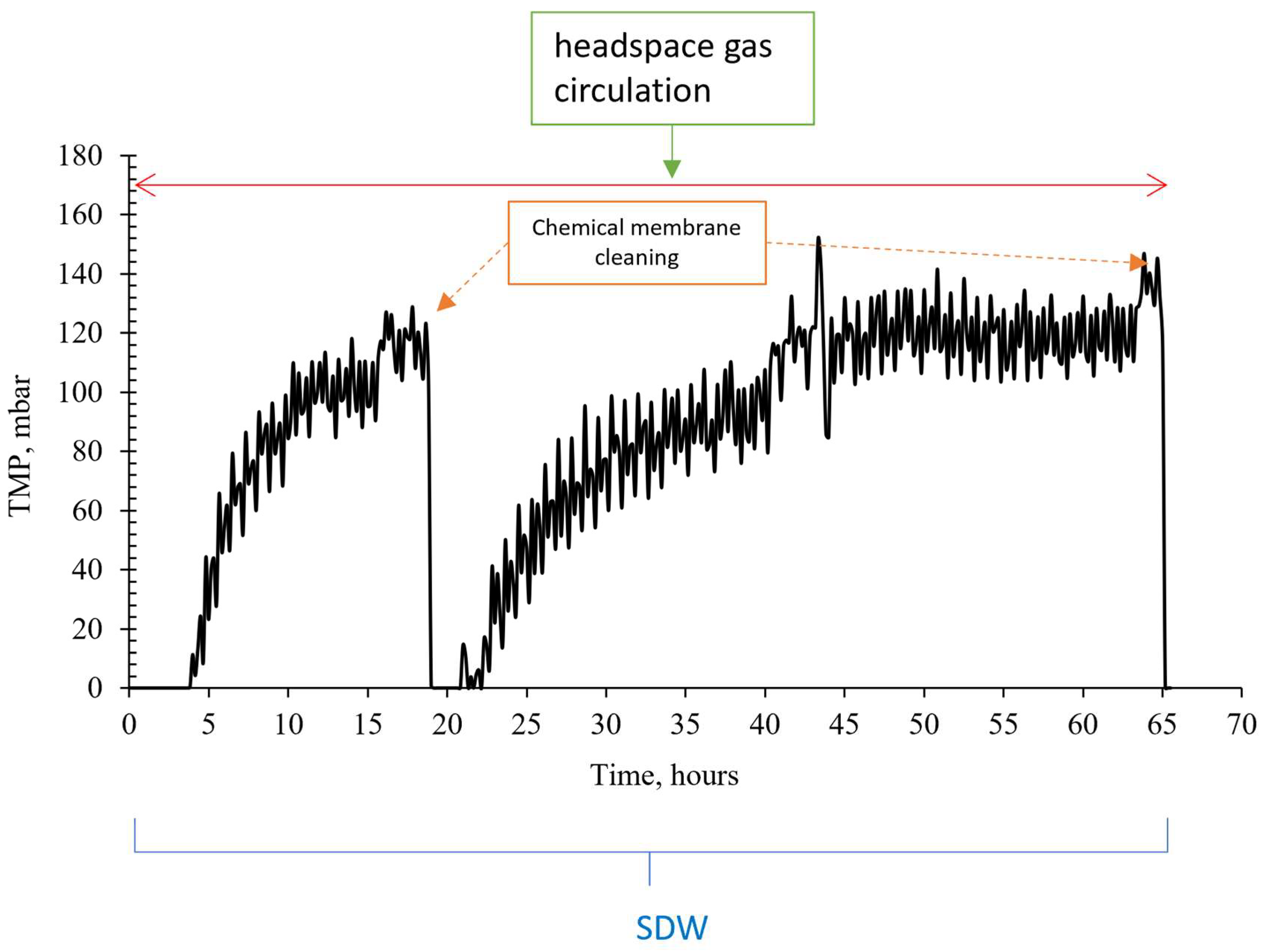 Membranes 13 00666 g009