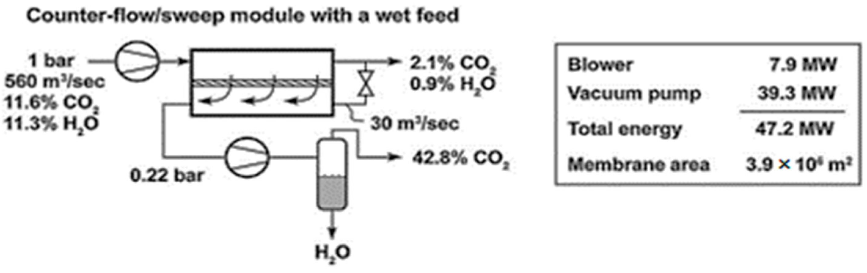 Membranes 13 00692 g002