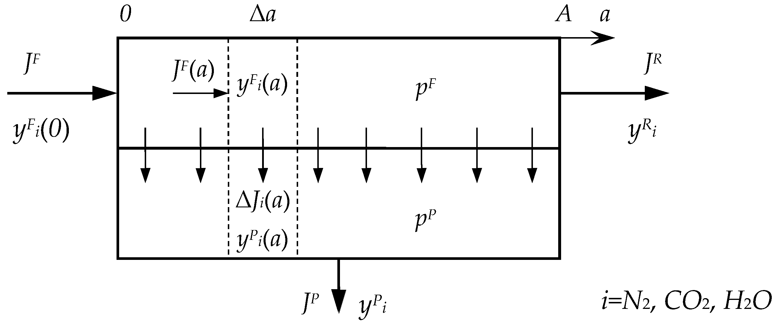 Membranes 13 00692 g0a1