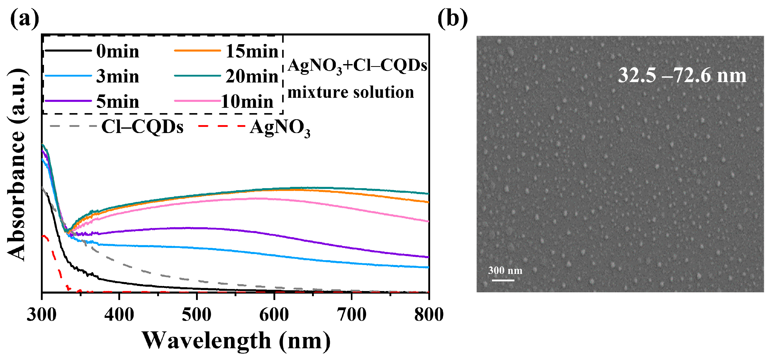 Membranes 13 00693 g002