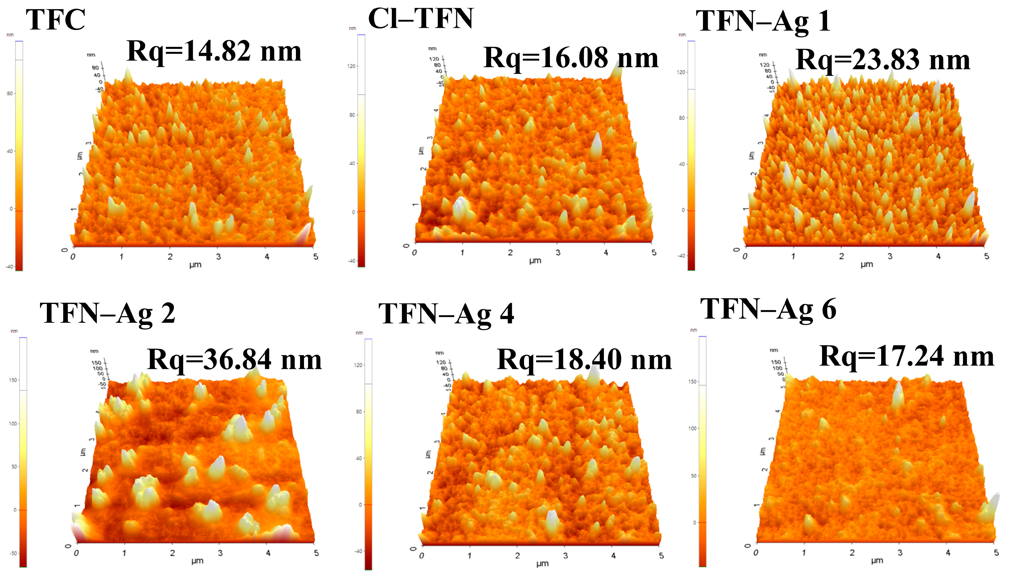 Membranes 13 00693 g005
