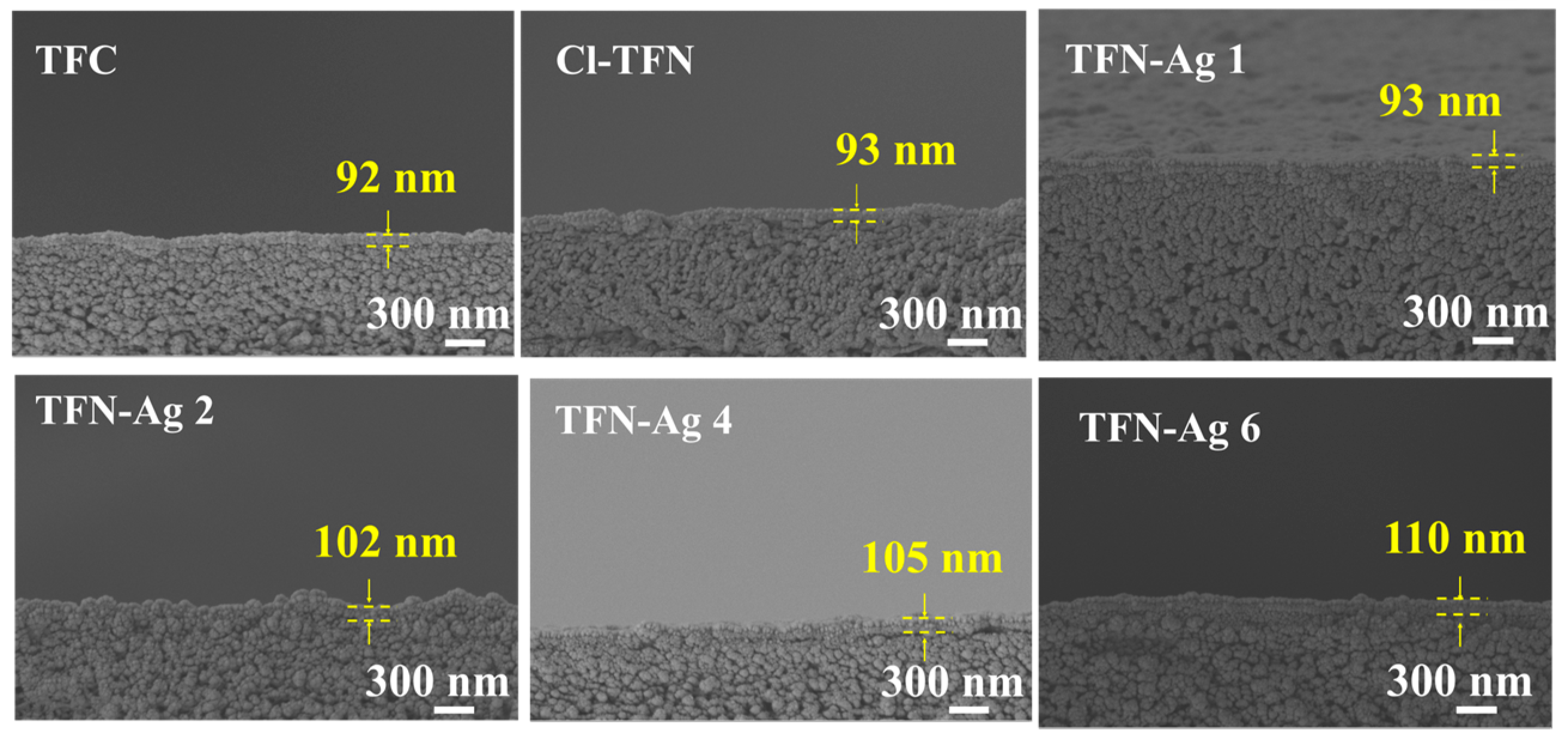 Membranes 13 00693 g006