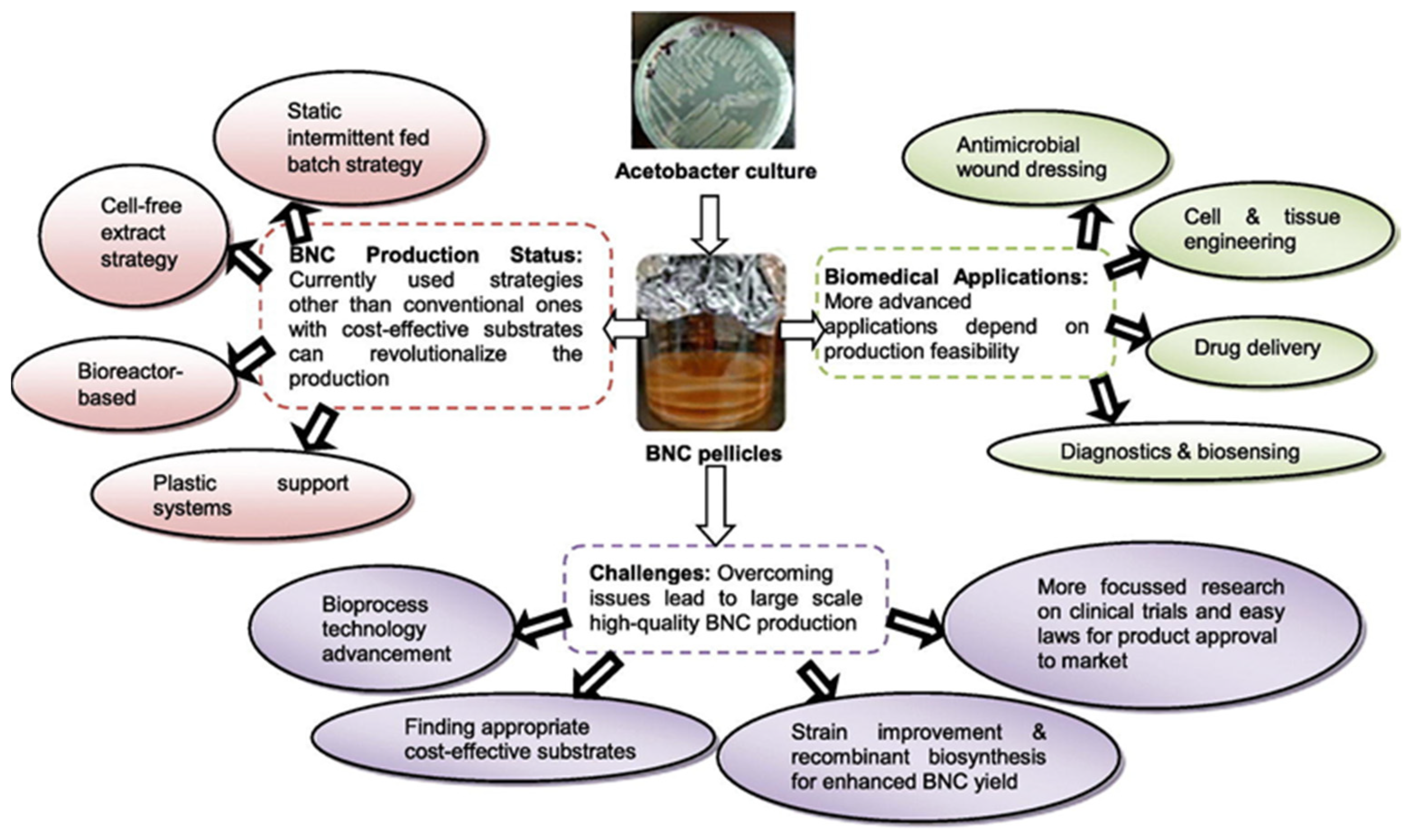 Membranes 13 00694 g006