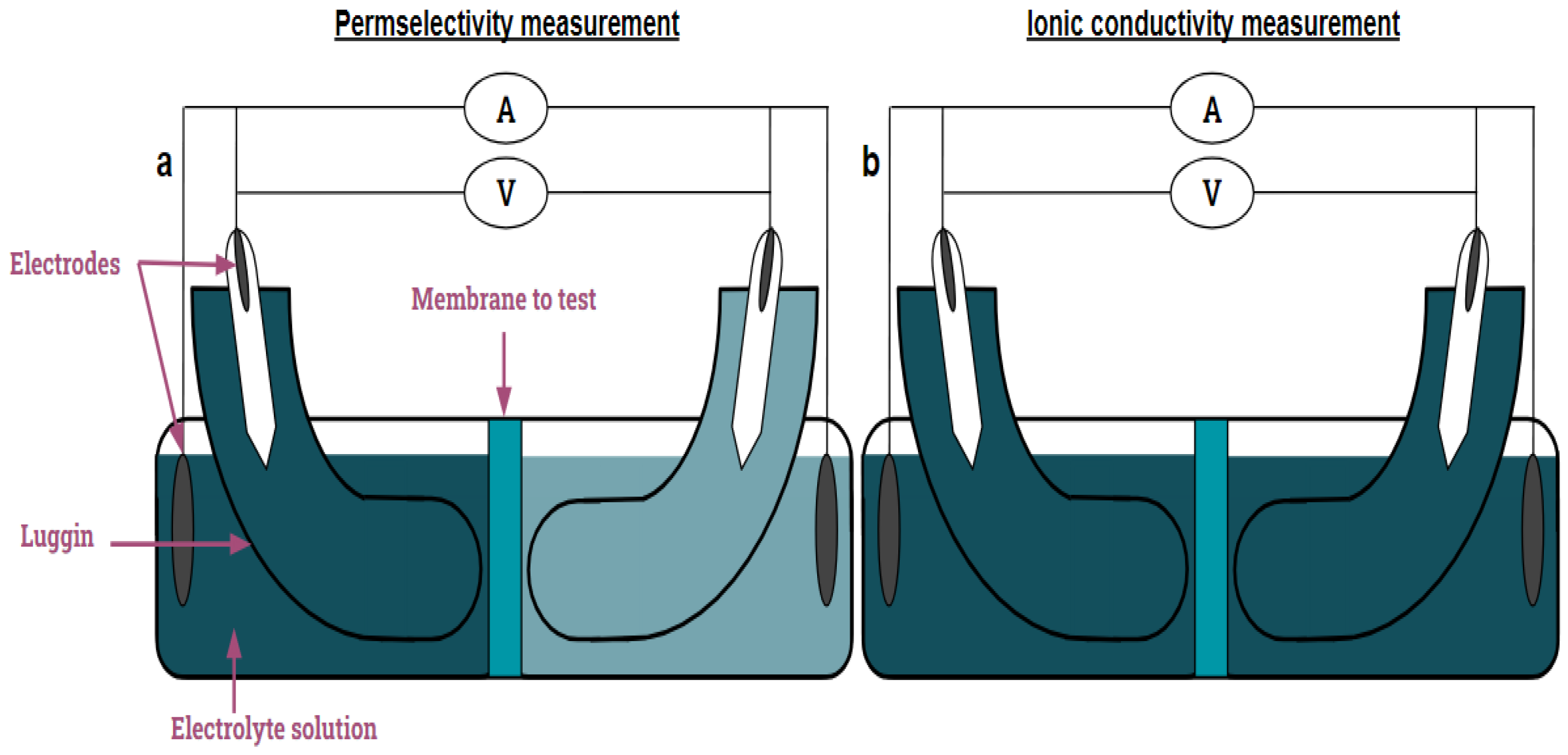 Membranes 13 00695 g002 Membranes 13 00695 g002