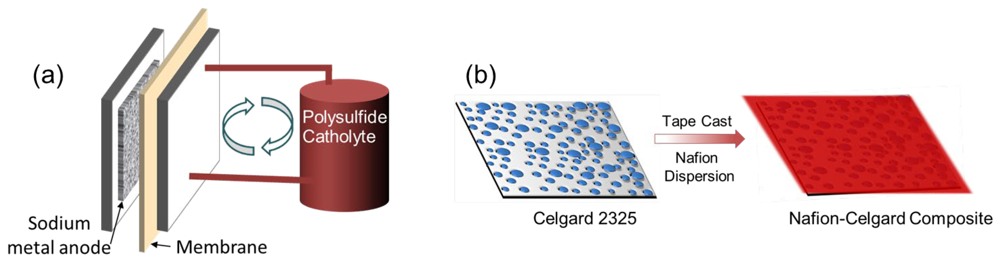 Membranes 13 00700 g001