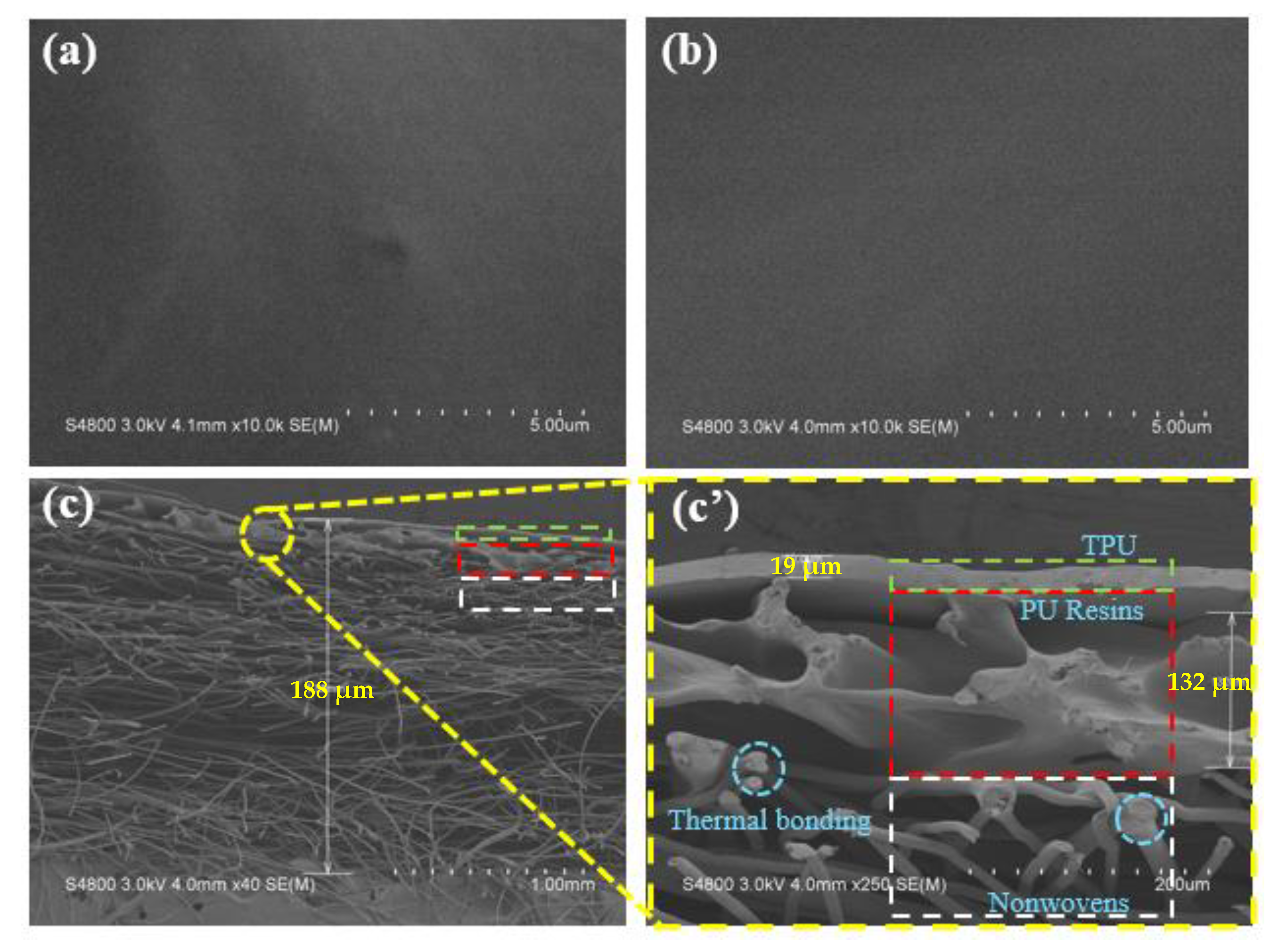 Membranes 13 00703 g006