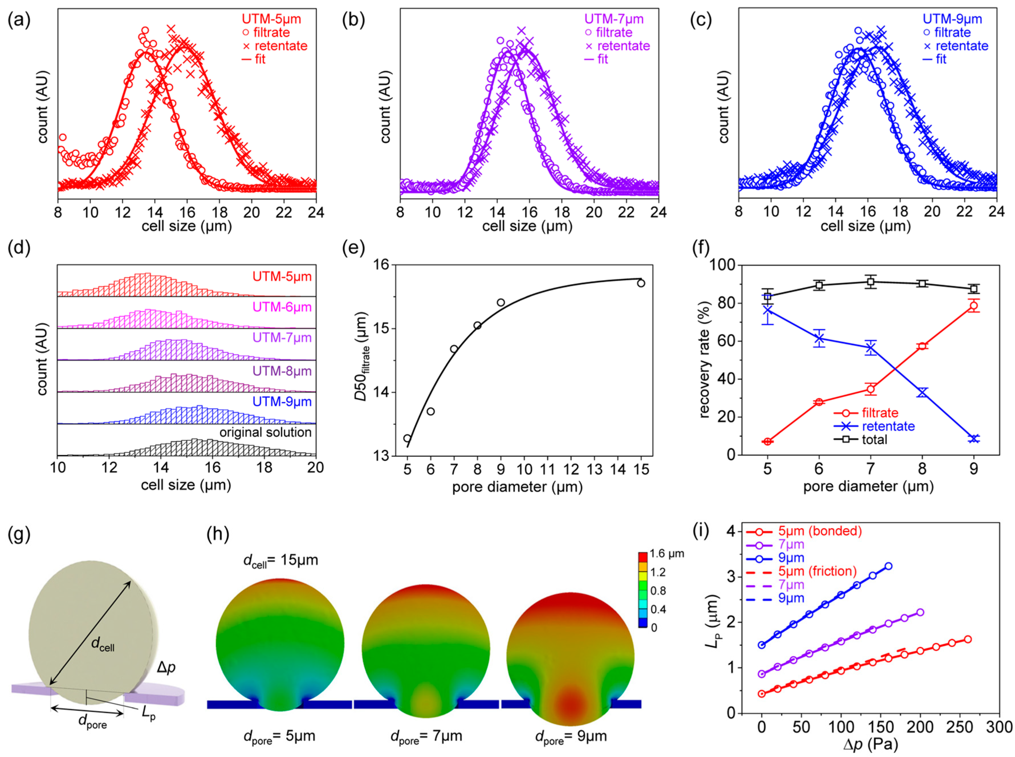 Membranes 13 00707 g004