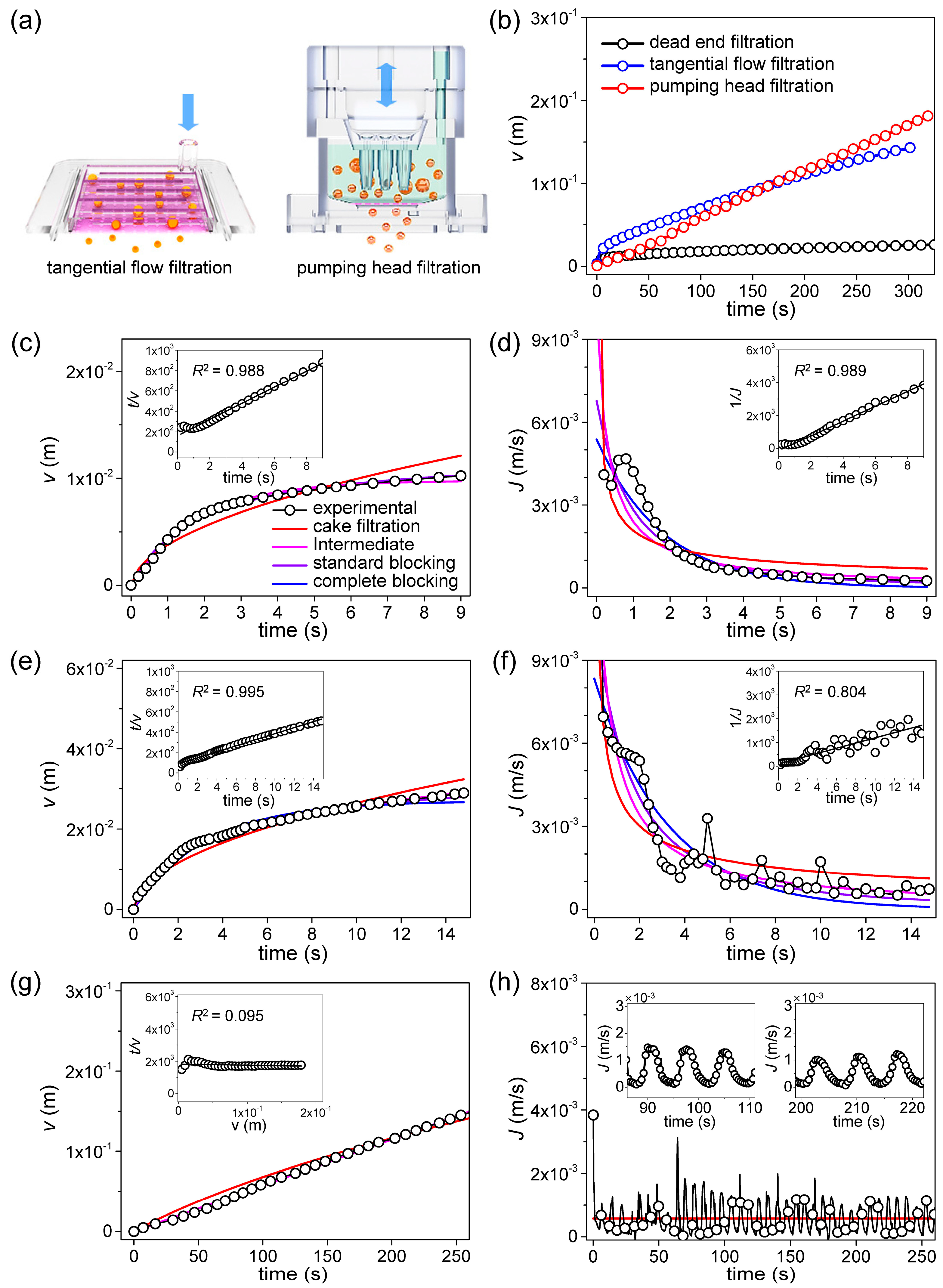 Membranes 13 00707 g005